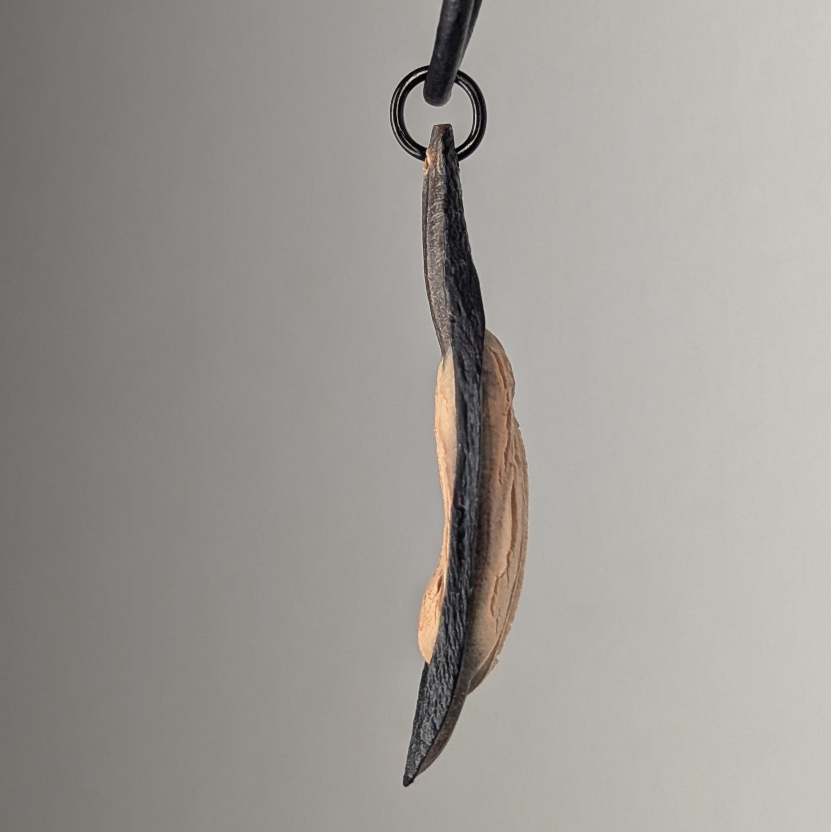 Caulerionyx Necklace by Versiliy