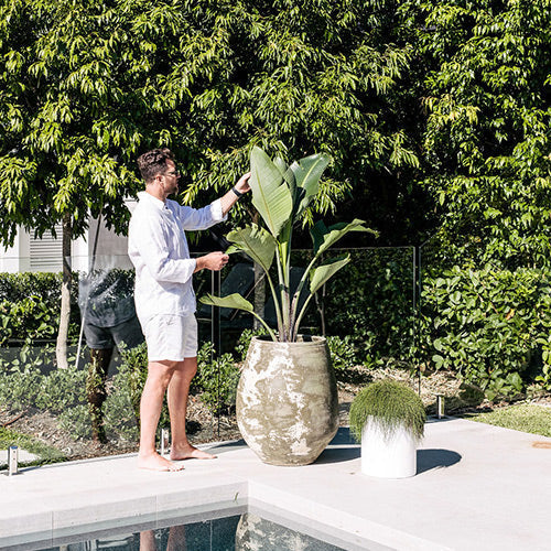 Choob Planter by The Balcony Garden US