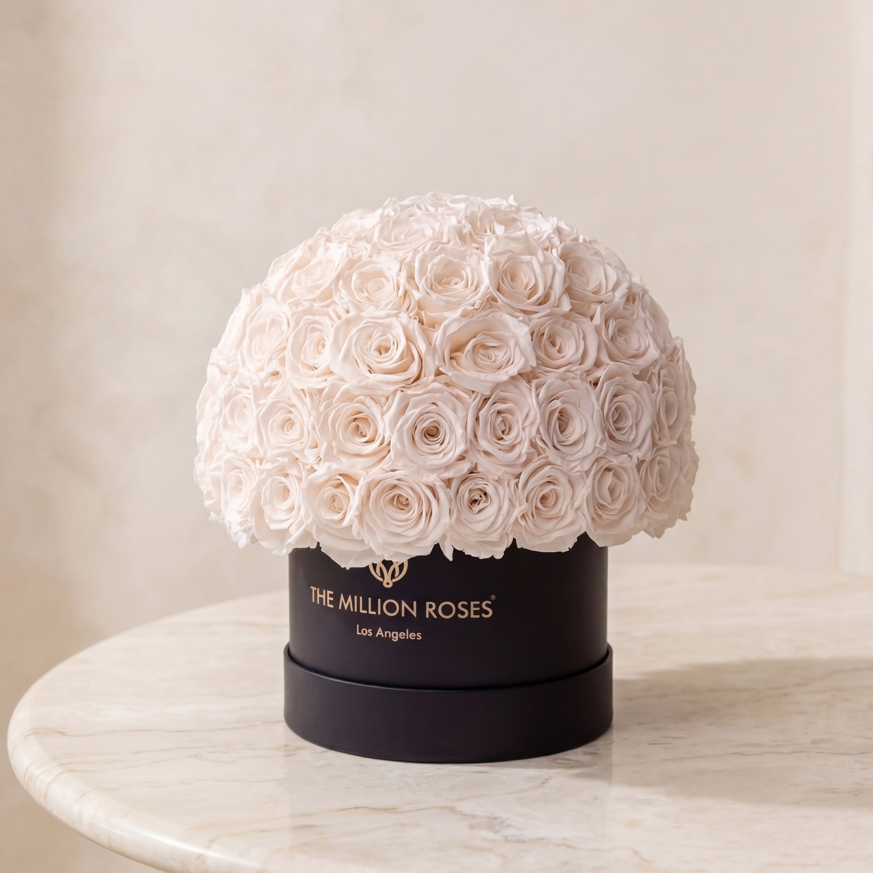 Classic Black Superdome Box by The Million Roses - product image 2 for Resin Society