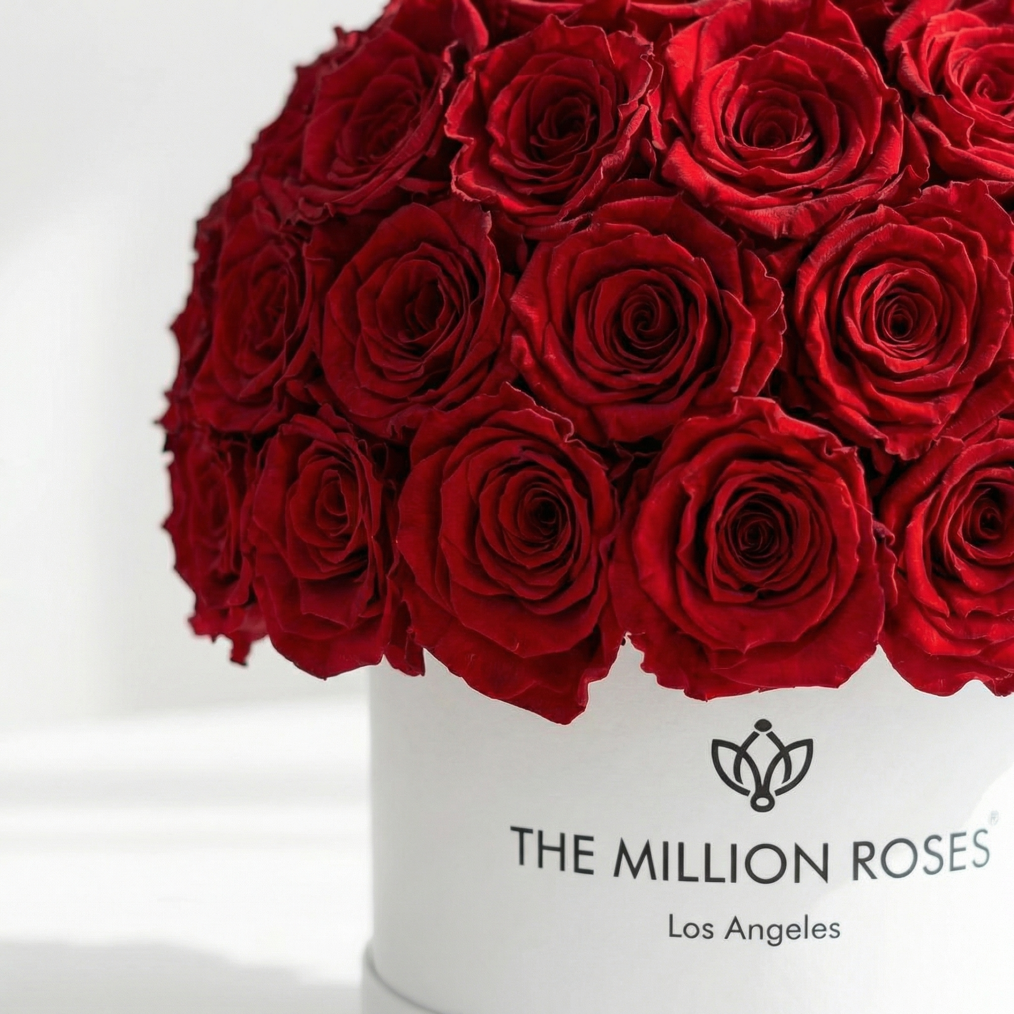 Classic White Superdome Box by The Million Roses - product image 3 for Resin Society