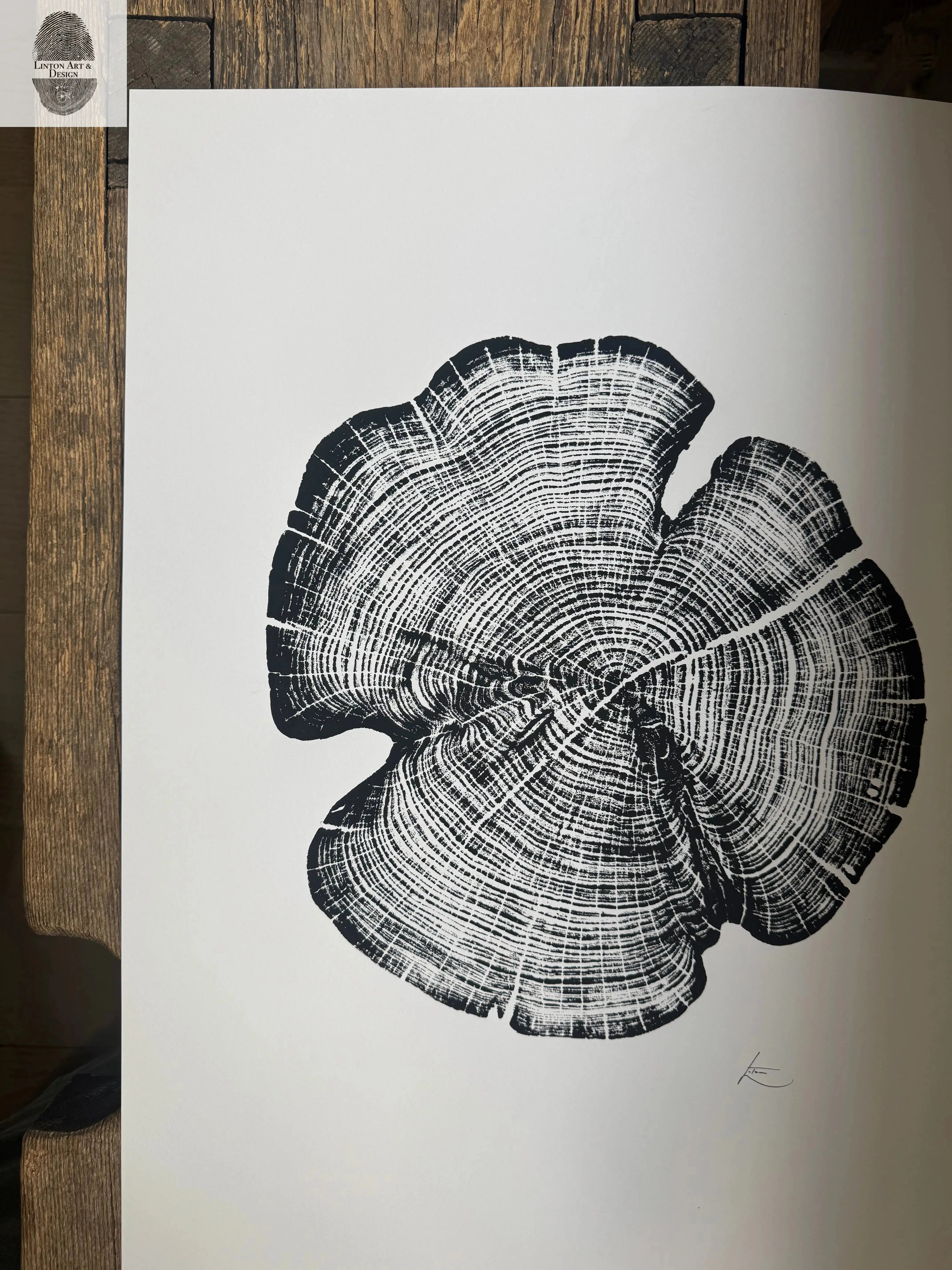 18x24 inch original white ink woodcut print of cedar tree rings from Reno County, Kansas on black paper, signed by the artist