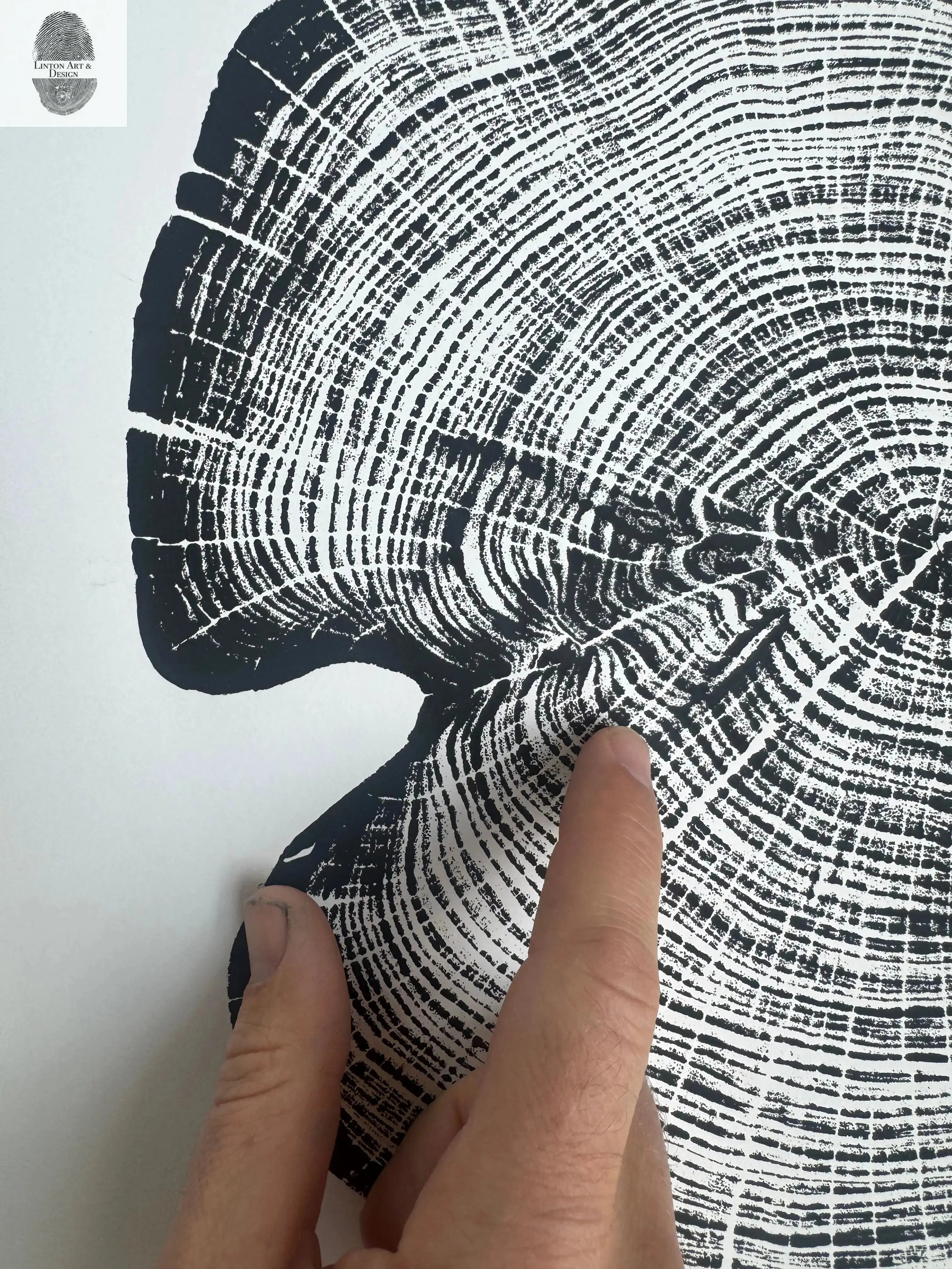 Cedar Tree Ring Print – Reno County, Kansas – 18x24 Original Signed Woodcut