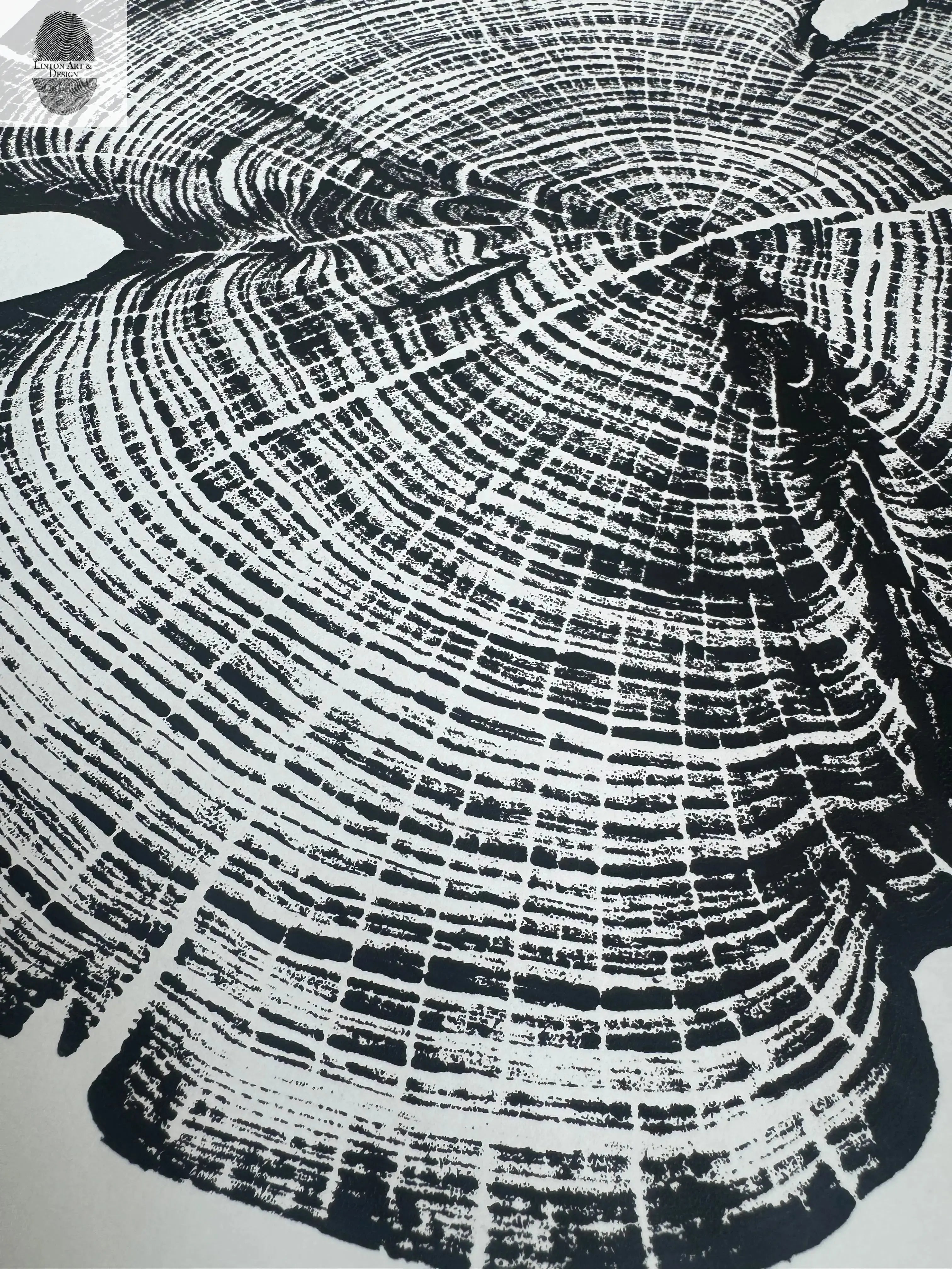 Cedar Tree Ring Print – Reno County, Kansas – 18x24 Original Signed Woodcut