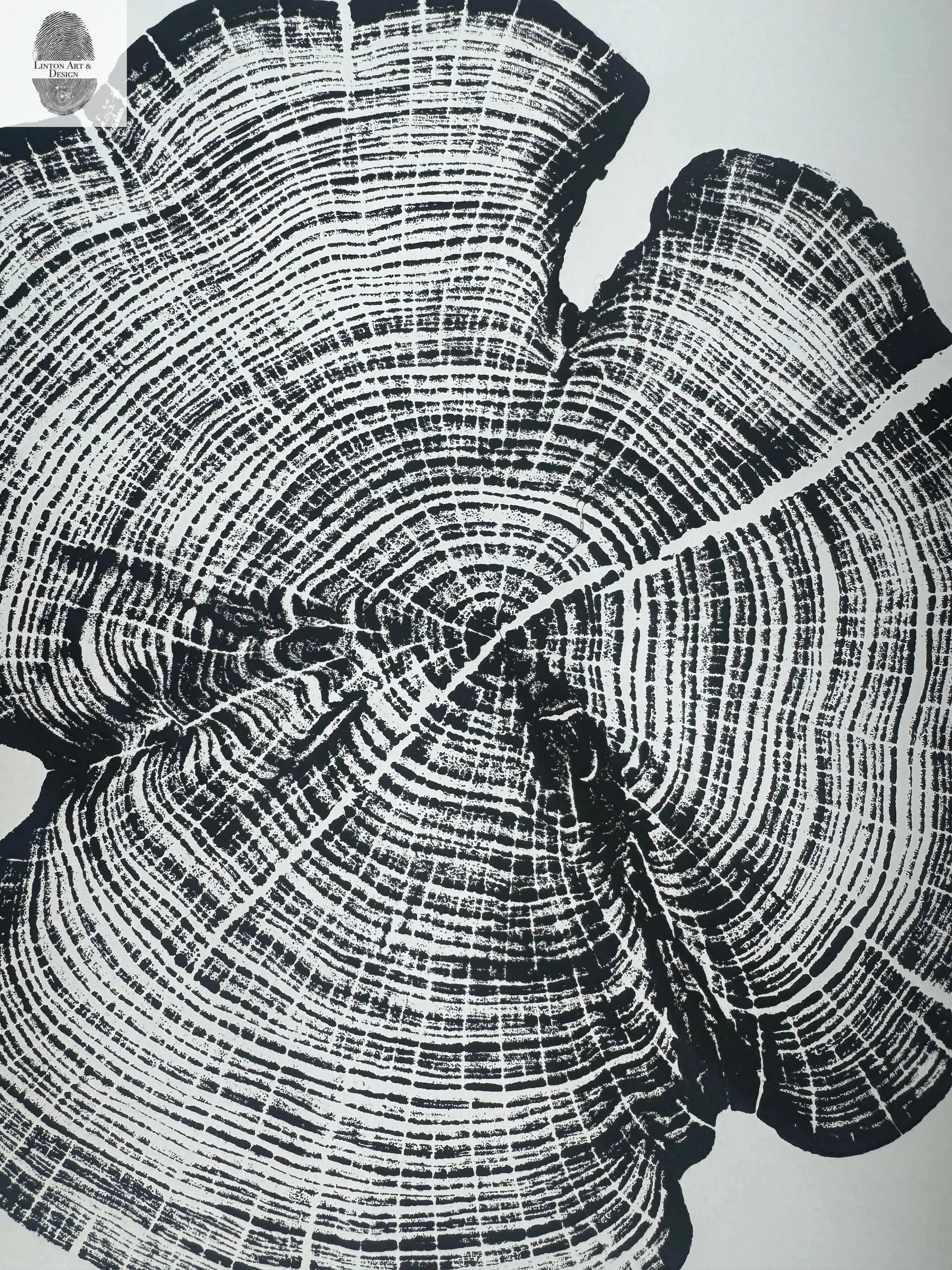 Cedar Tree Ring Print – Reno County, Kansas – 18x24 Original Signed Woodcut