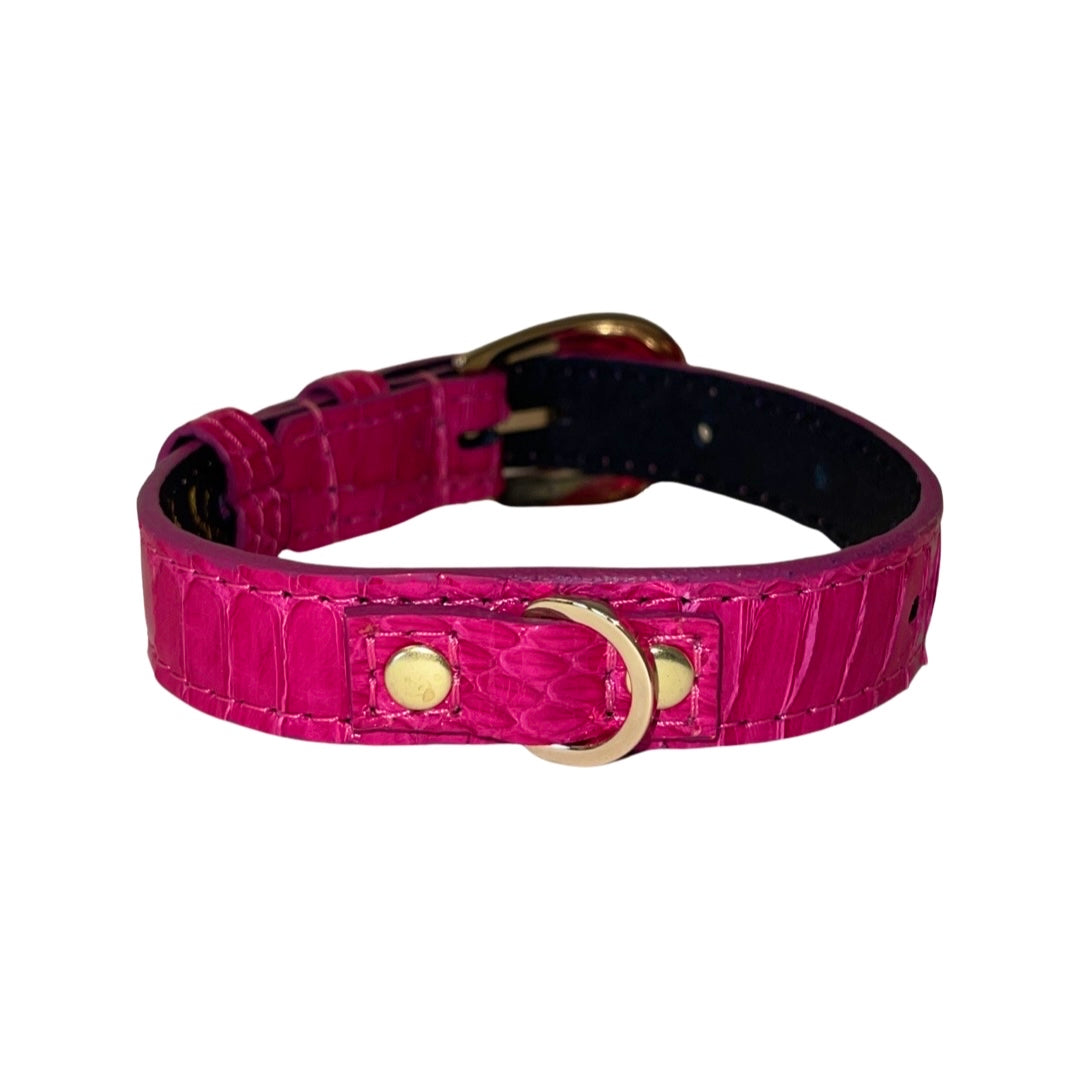 XS Fuchsia Snake 7”-14” Collar with Custom Gold Italian Hardware