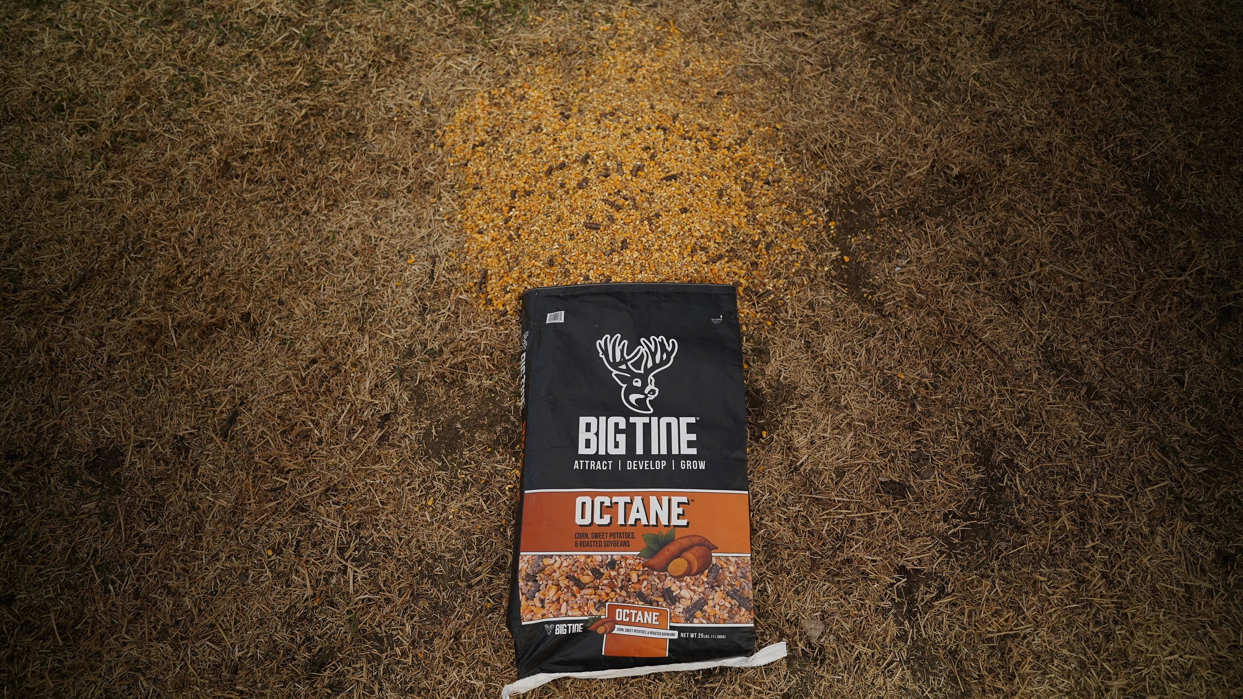 BIG TINE OCTANE