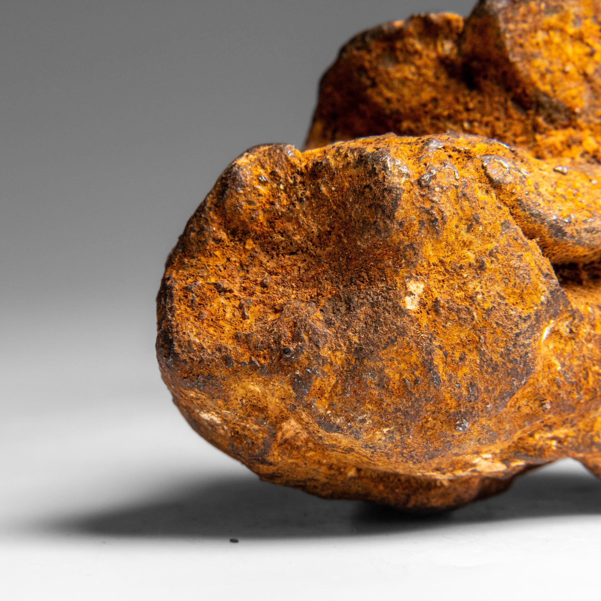 Genuine Gebel Kamil Meteorite from Egypt (360 grams) by Astro Gallery of Gems - product image 5 for Resin Society