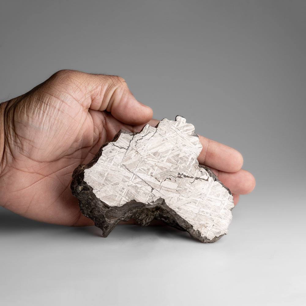 Genuine Muonionalusta Meteorite Slice (2.4 lbs) by Astro Gallery of Gems - product image 3 for Resin Society
