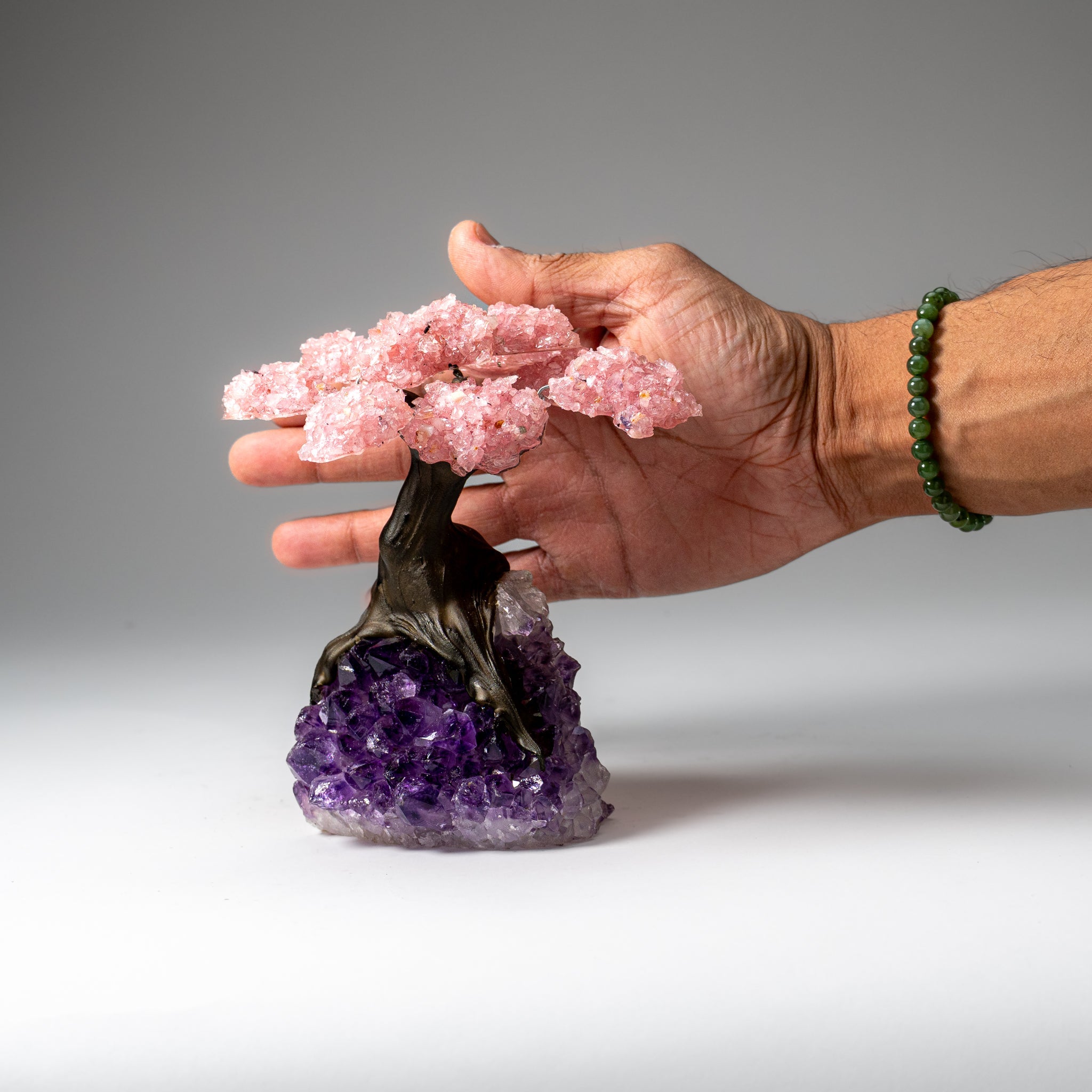 Genuine Rose Quartz Clustered Gemstone Tree on Amethyst Matrix (5 inch)(The Love Tree)