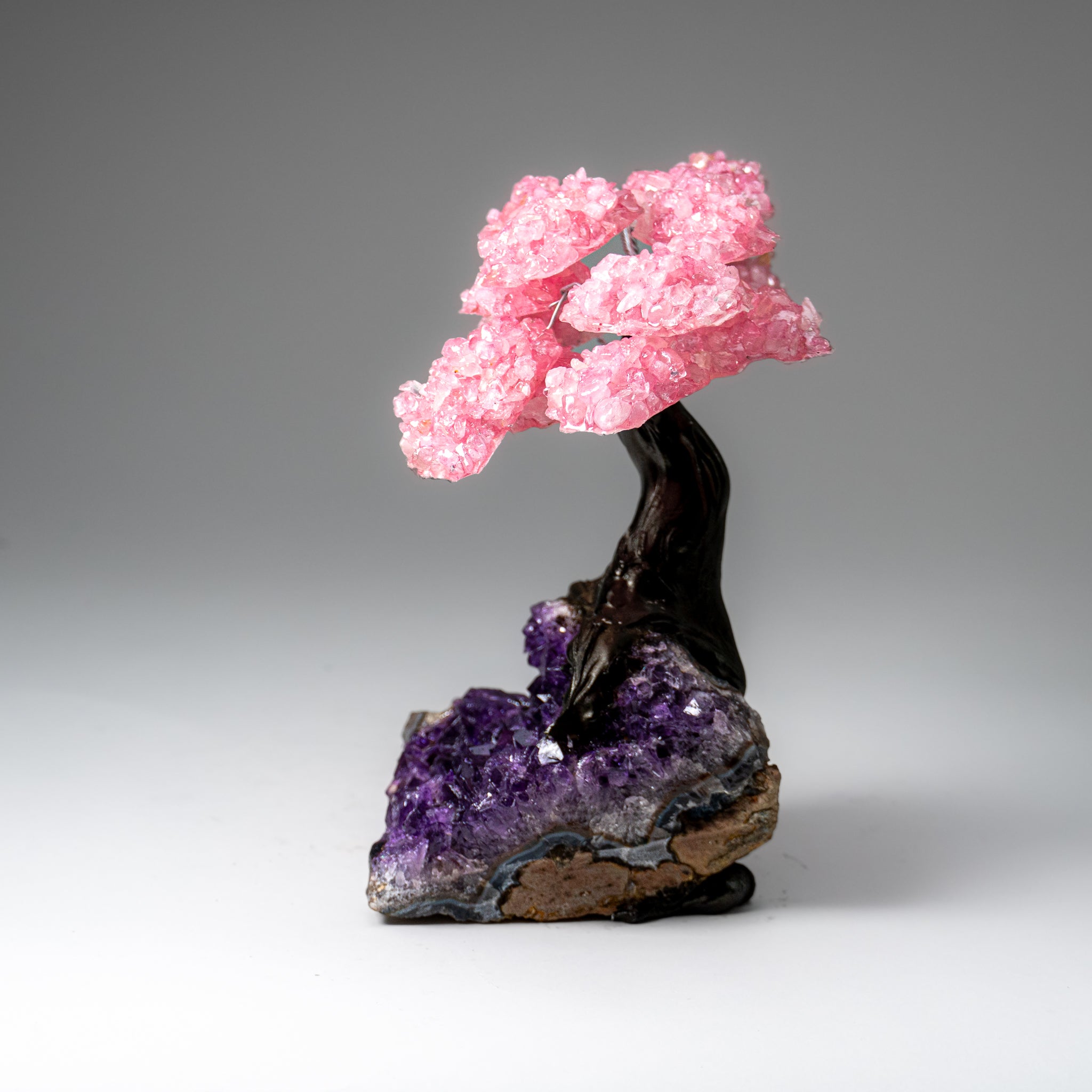 Genuine Rose Quartz Clustered Gemstone Tree on Amethyst Matrix (7 inch) (The Love Tree)