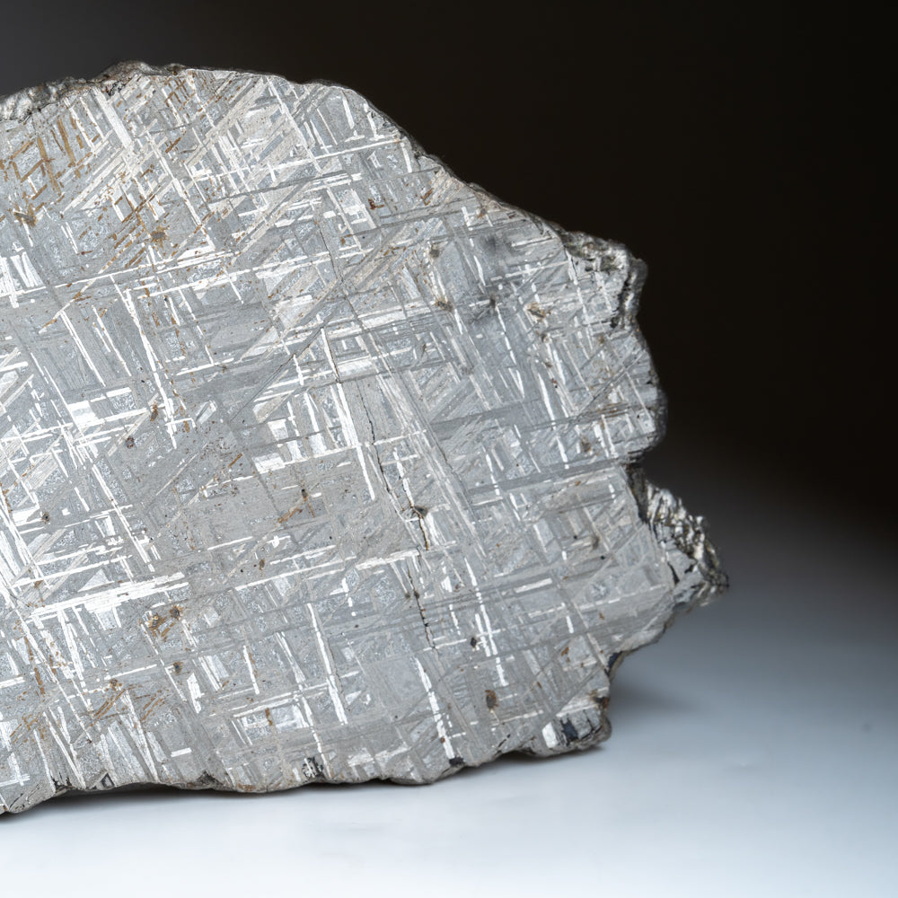 Genuine Muonionalusta Meteorite Slice (394 grams) by Astro Gallery of Gems - product image 5 for Resin Society