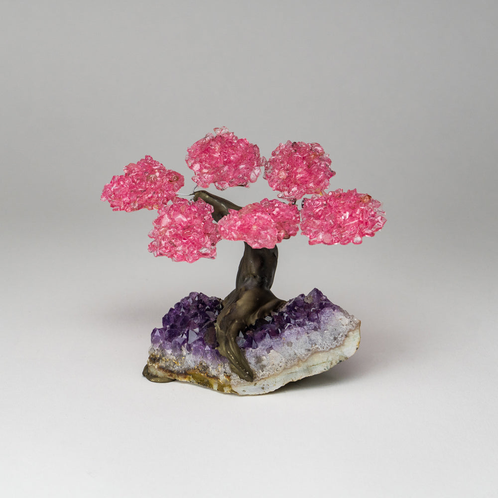 Genuine Rose Quartz Clustered Gemstone Tree on Amethyst Matrix (The Love Tree) with pink clustered leaves and purple crystal base
