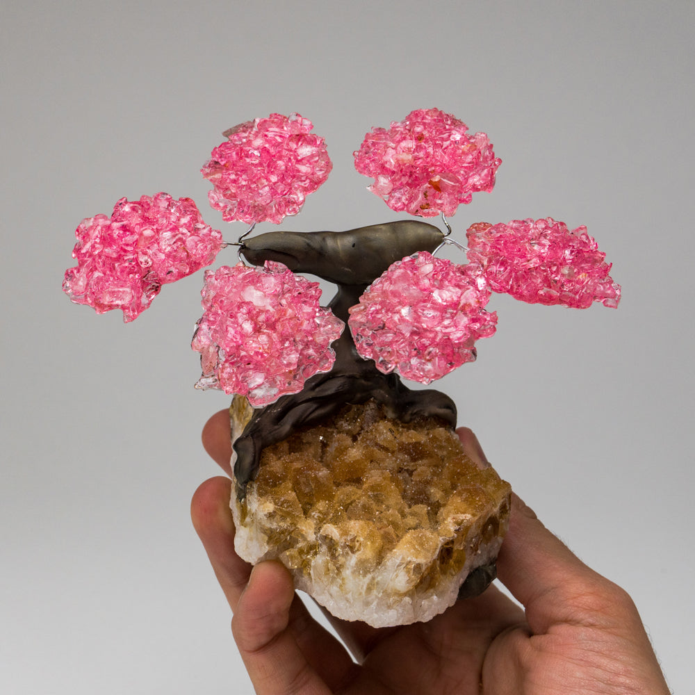 Small Rose Quartz Clustered Gemstone Tree on Citrine Matrix