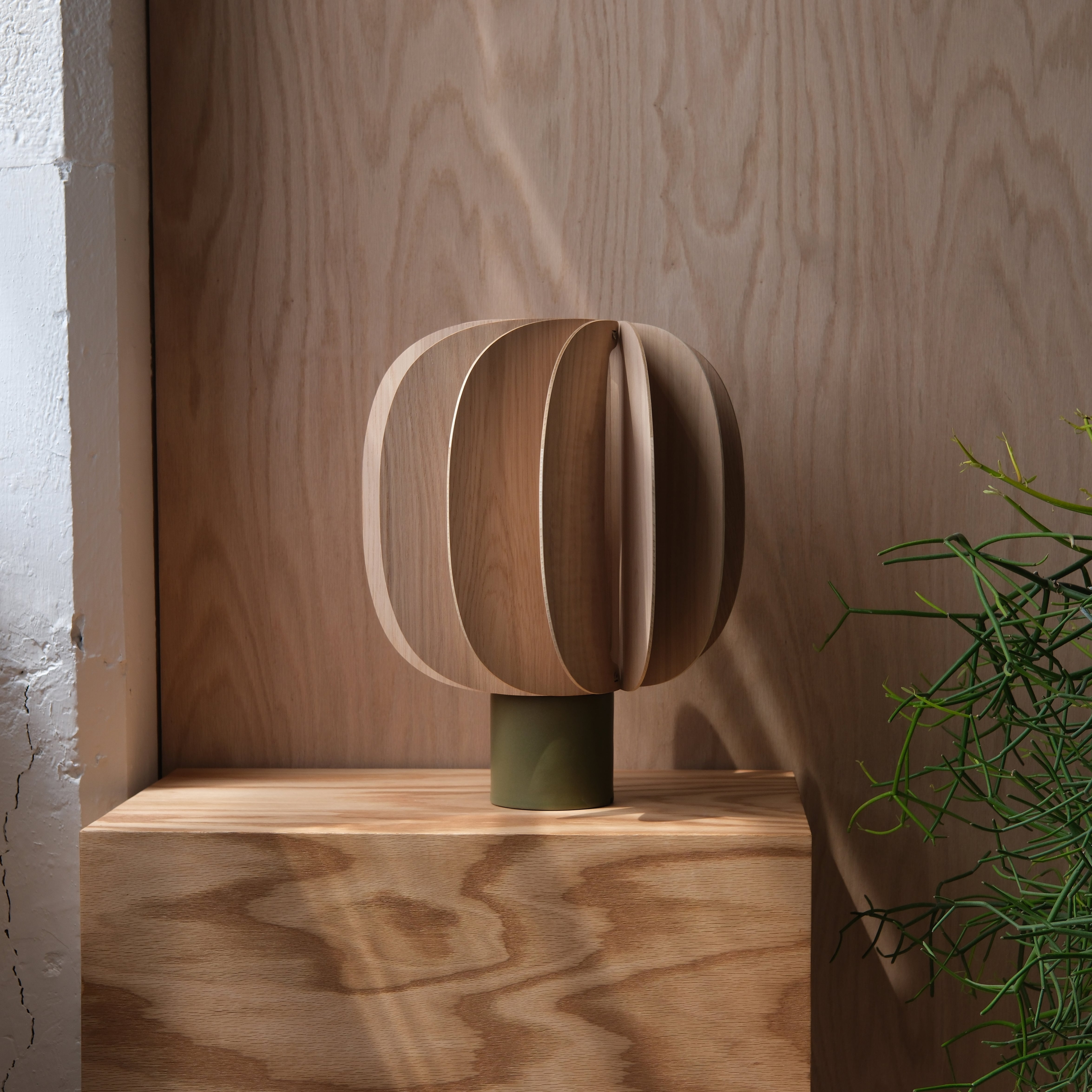 Fin Table Lamp by Misewell - product image 5 for Resin Society