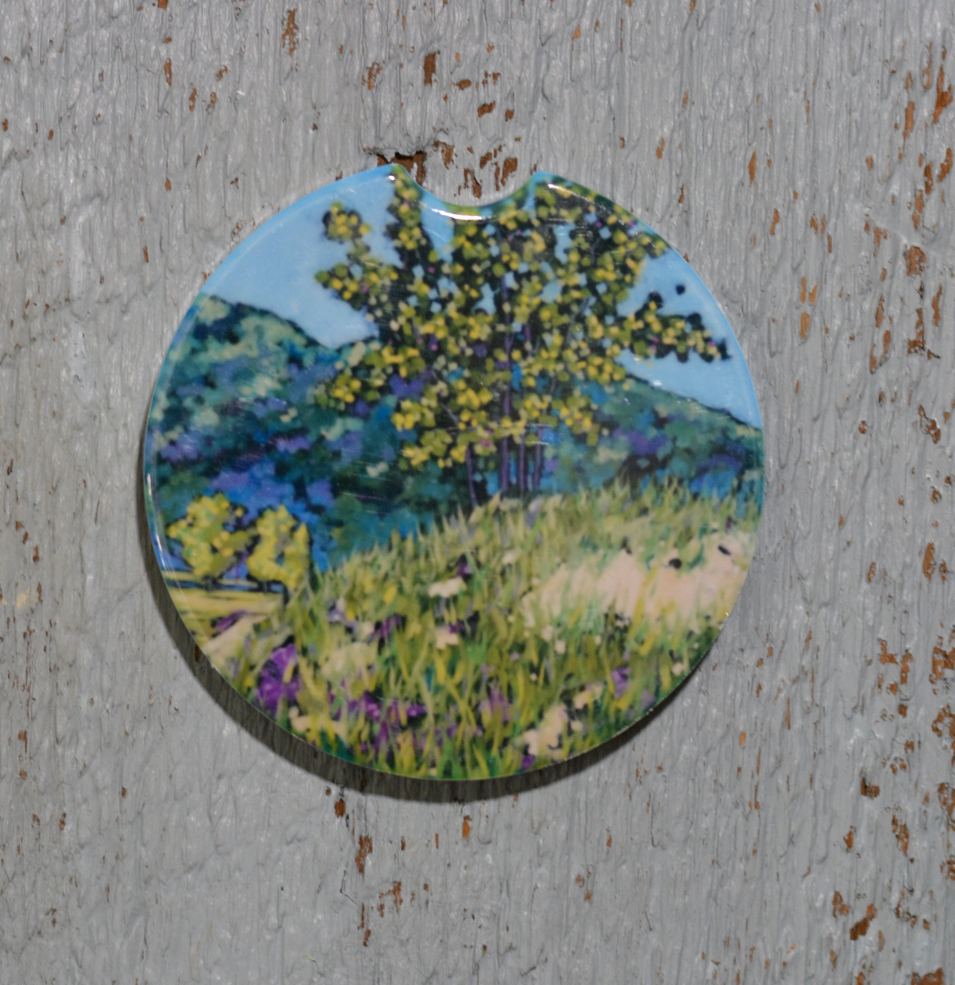 Car Coaster: Ottawa Sands. Artist Christi Dreese by Dreese Fine Art - Resin Society
