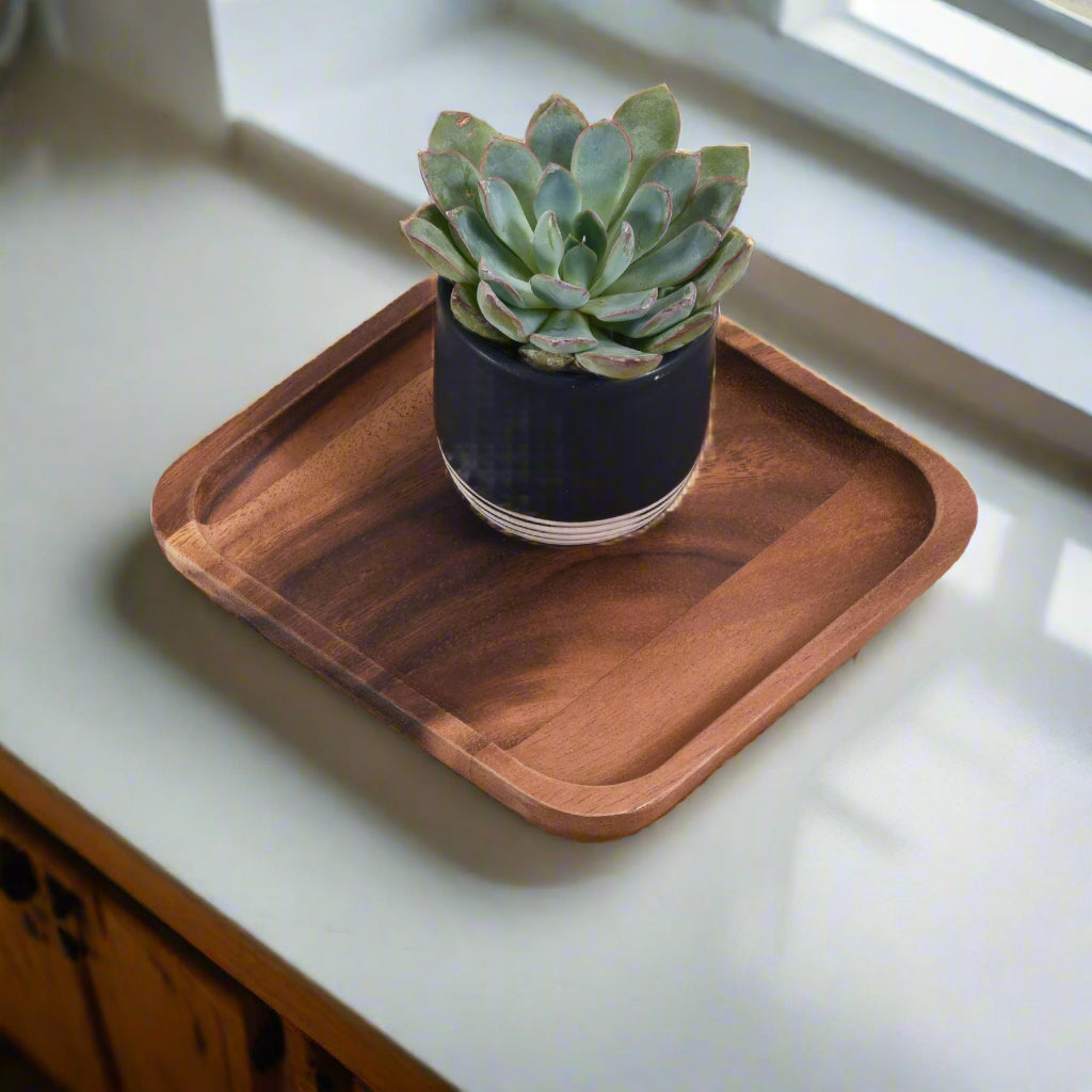 Square Plates by Kalmar Home - product image 2 for Resin Society