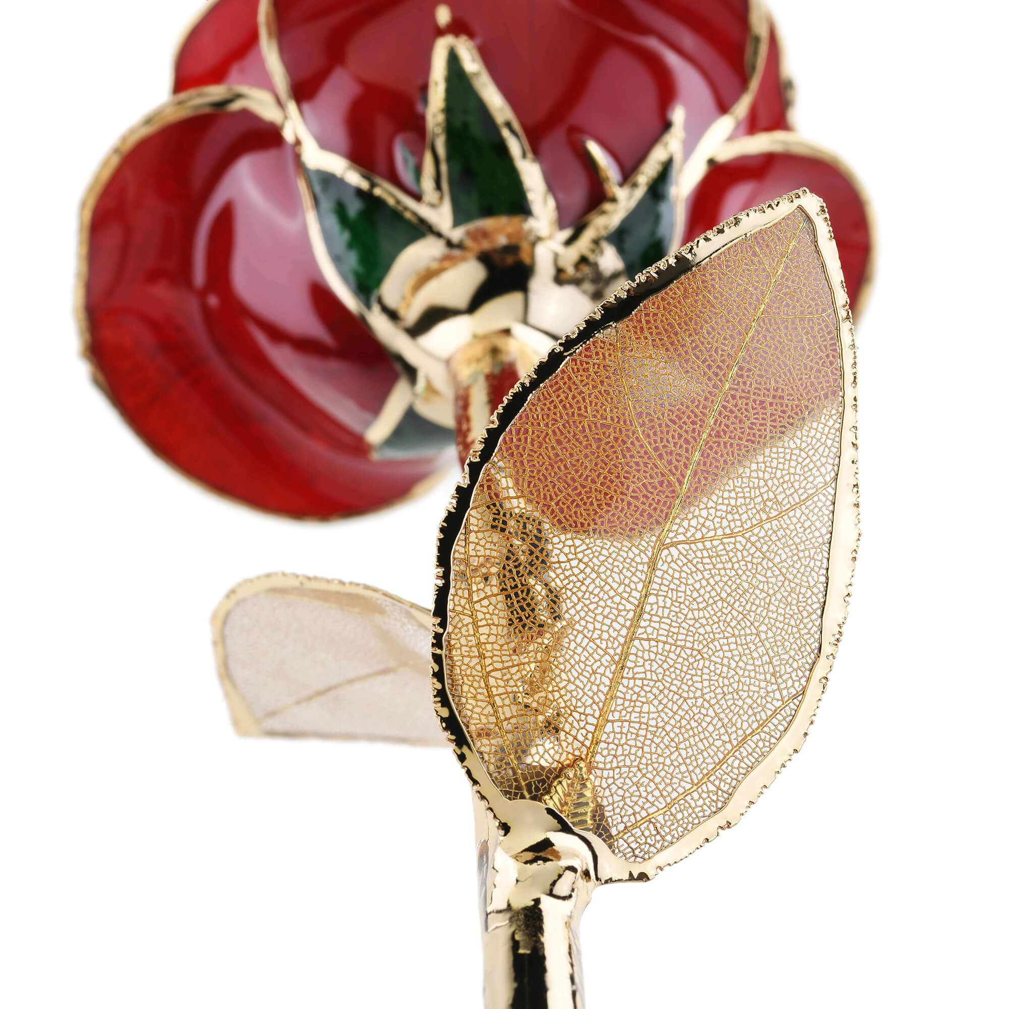 Timeless Rose (Dark Red) by ROSEPHORIA - product image 5 for Resin Society