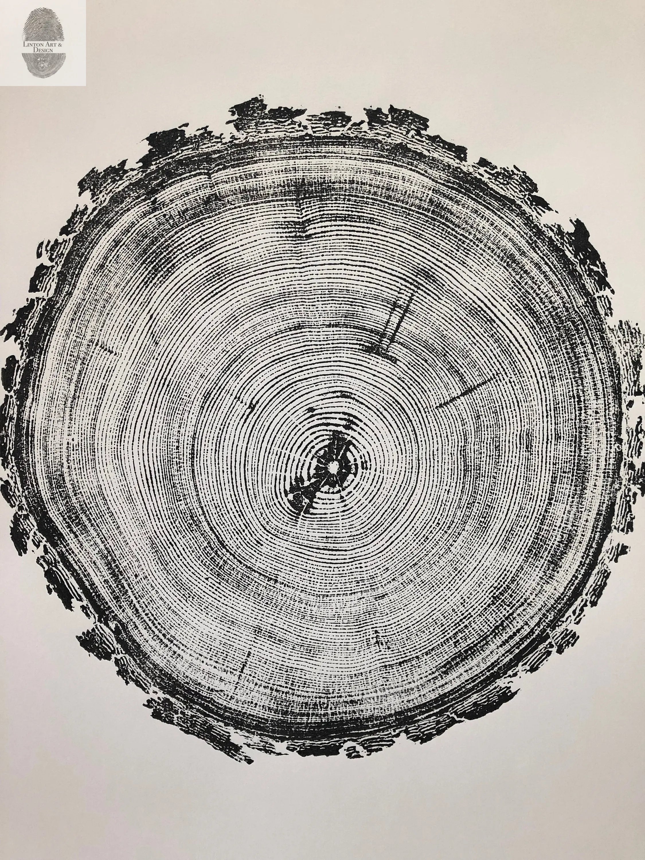 Denver Art, Rocky Mountains Tree Art, Pine Tree Art, Tree ring Print, Woodcut Print