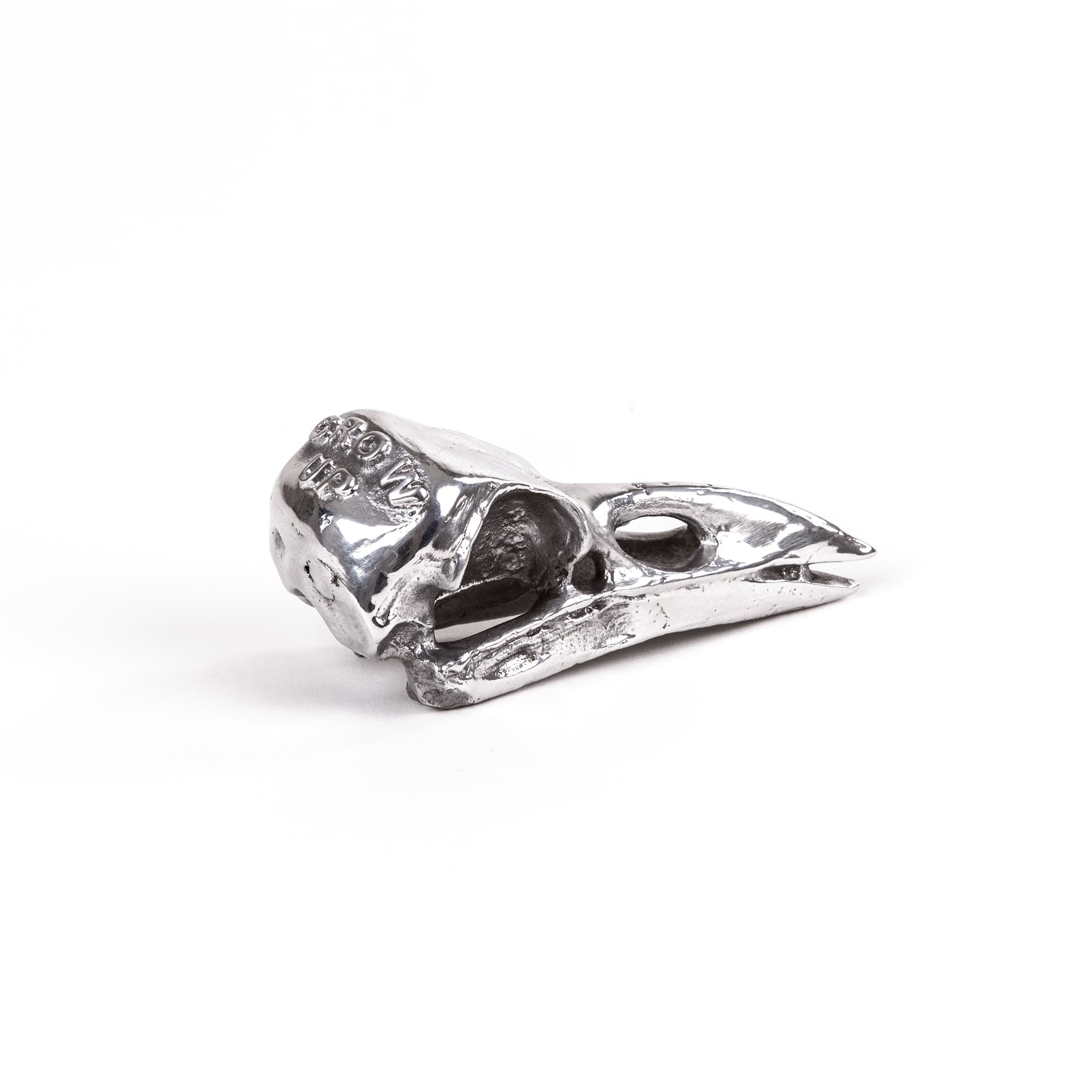 Wunderkammer Bird Skull by DEKOR - product image 3 for Resin Society
