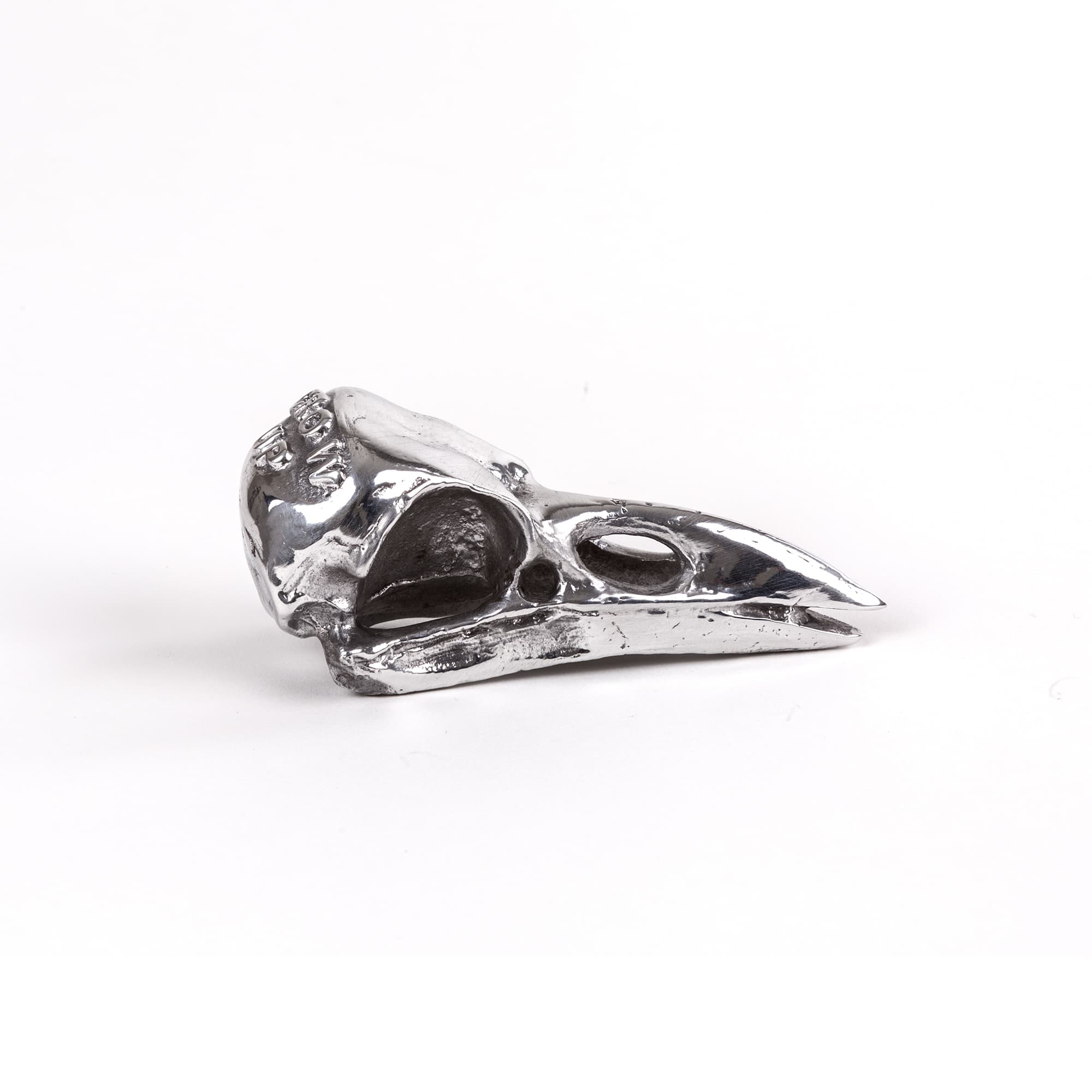 Wunderkammer Bird Skull by DEKOR - product image 2 for Resin Society