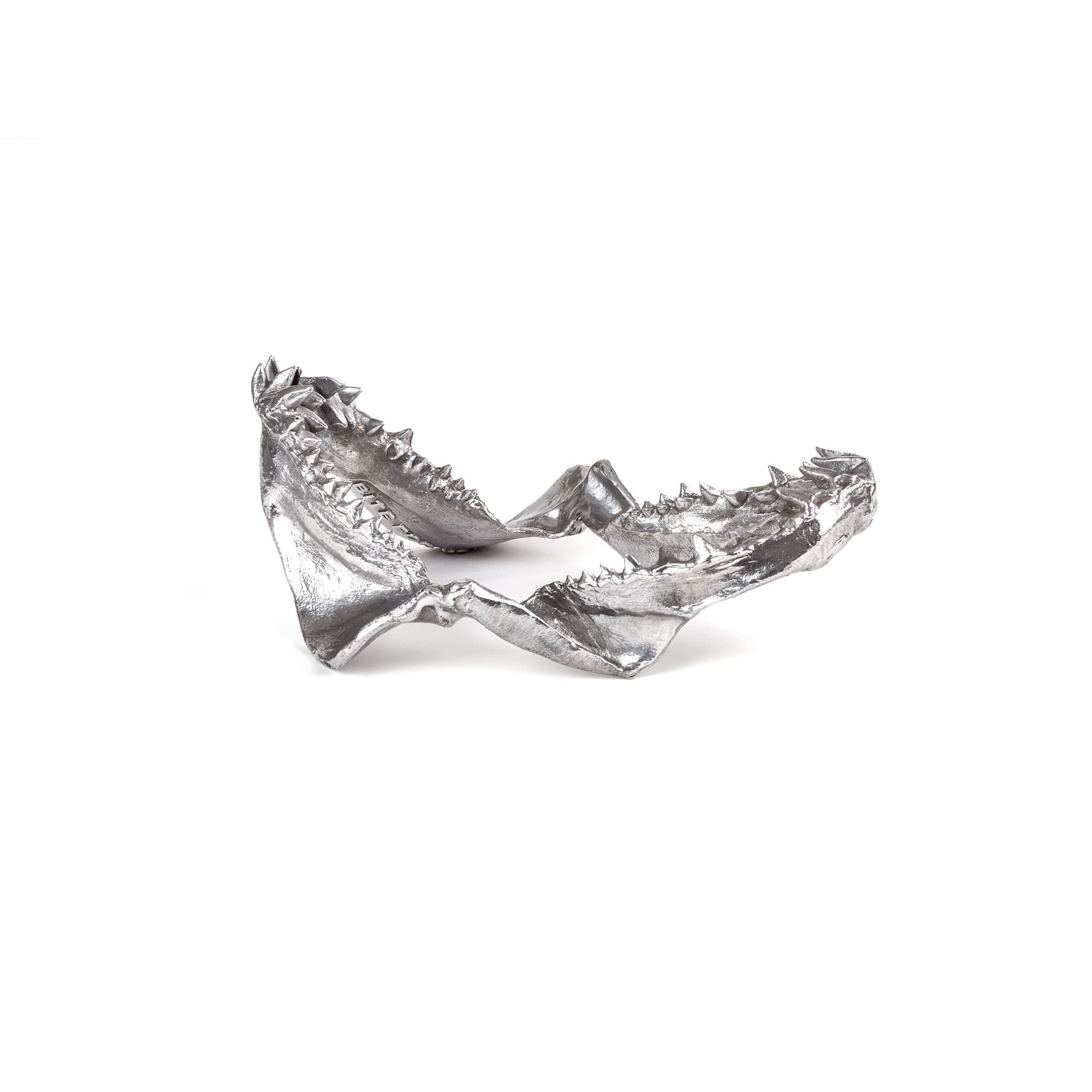 Wunderkammer Shark Jaw by DEKOR - product image 4 for Resin Society