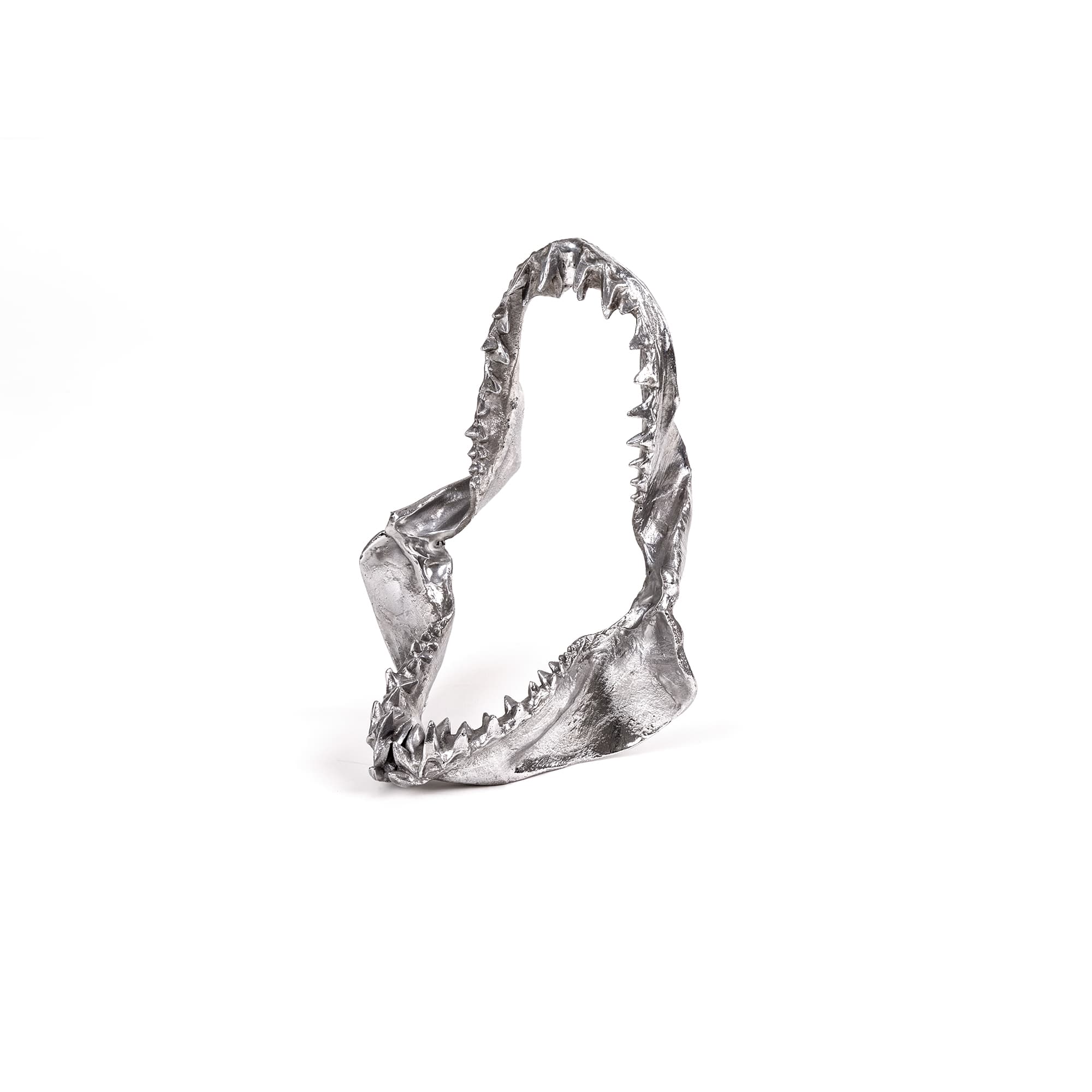 Wunderkammer Shark Jaw by DEKOR - main product image for Resin Society
