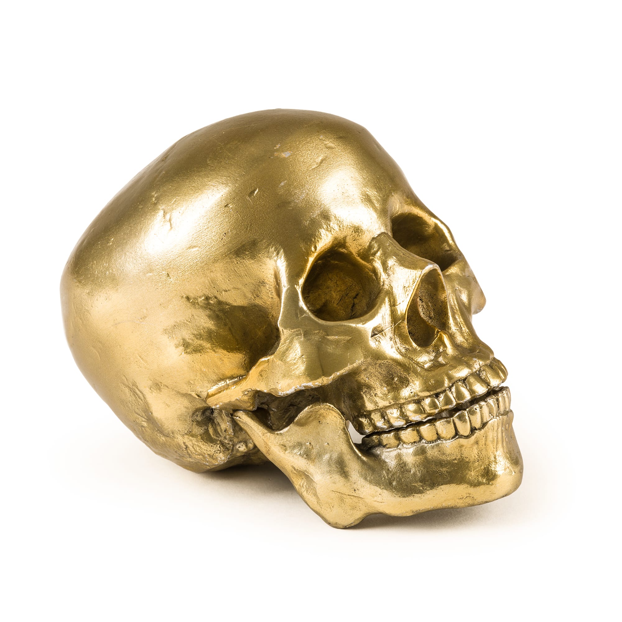 Wunderkrammer Human Skull by DEKOR - main product image for Resin Society