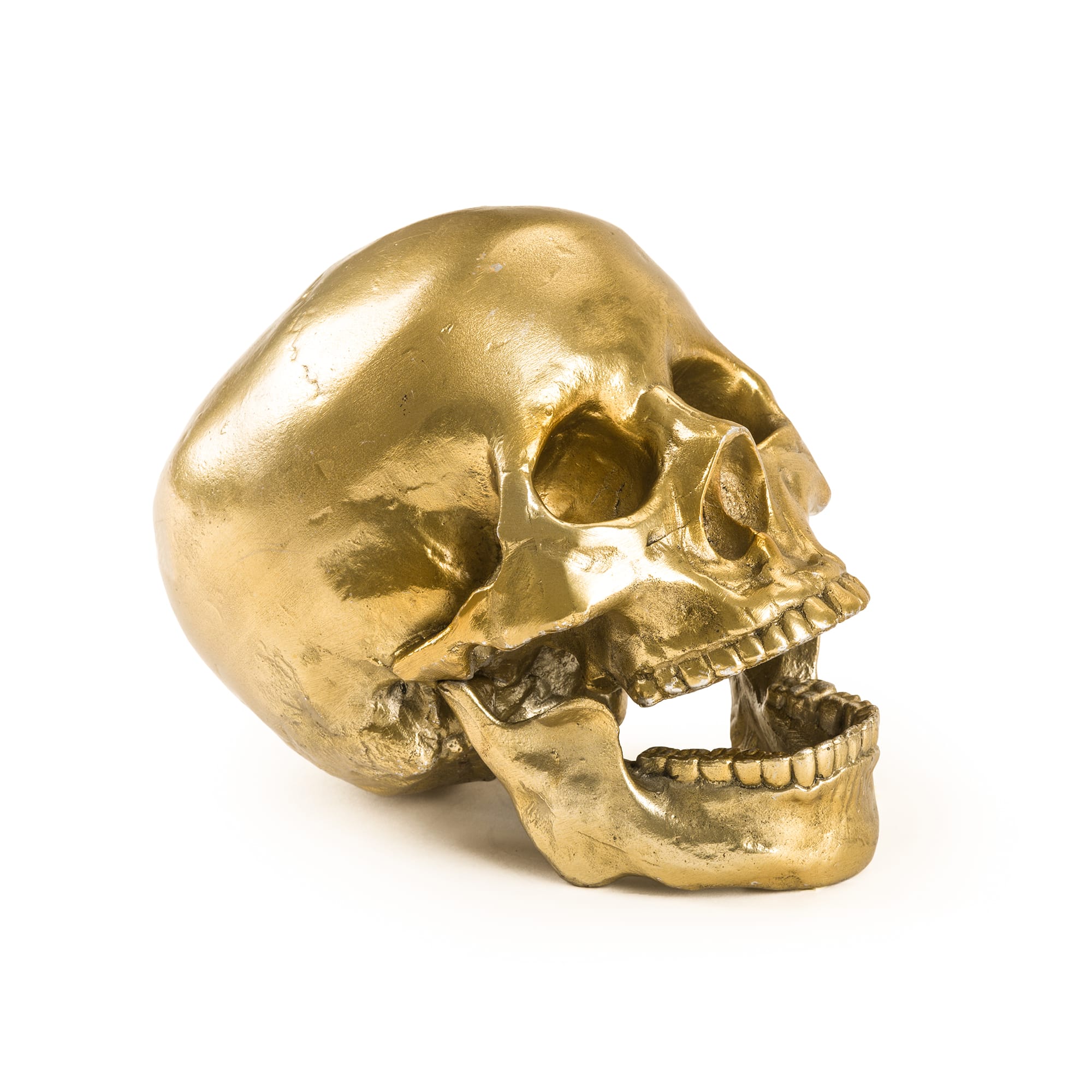 Wunderkrammer Human Skull by DEKOR - product image 2 for Resin Society