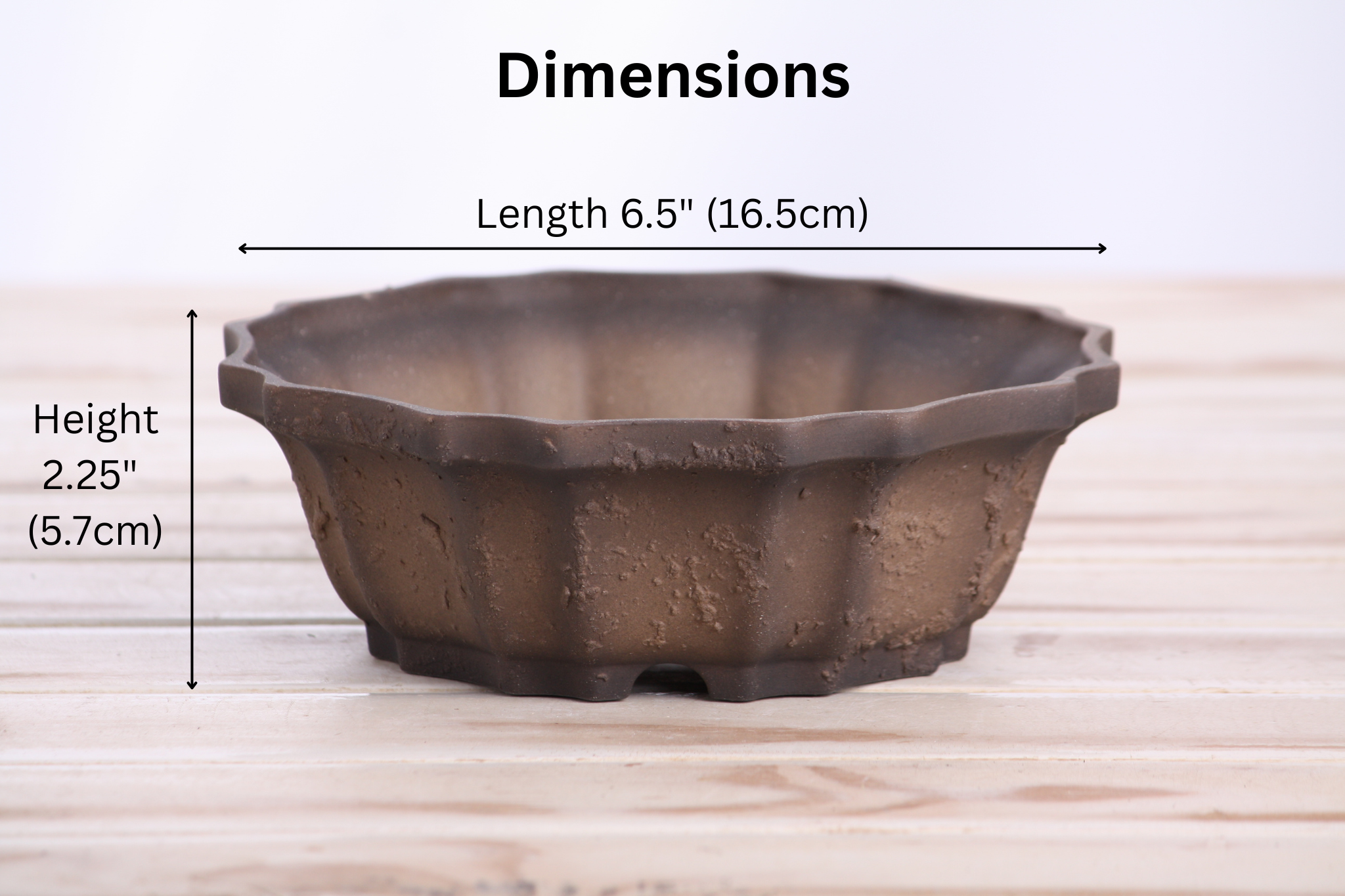 Willow Bonsai Ceramics Flower Design Bonsai Pot 6.5 Inch