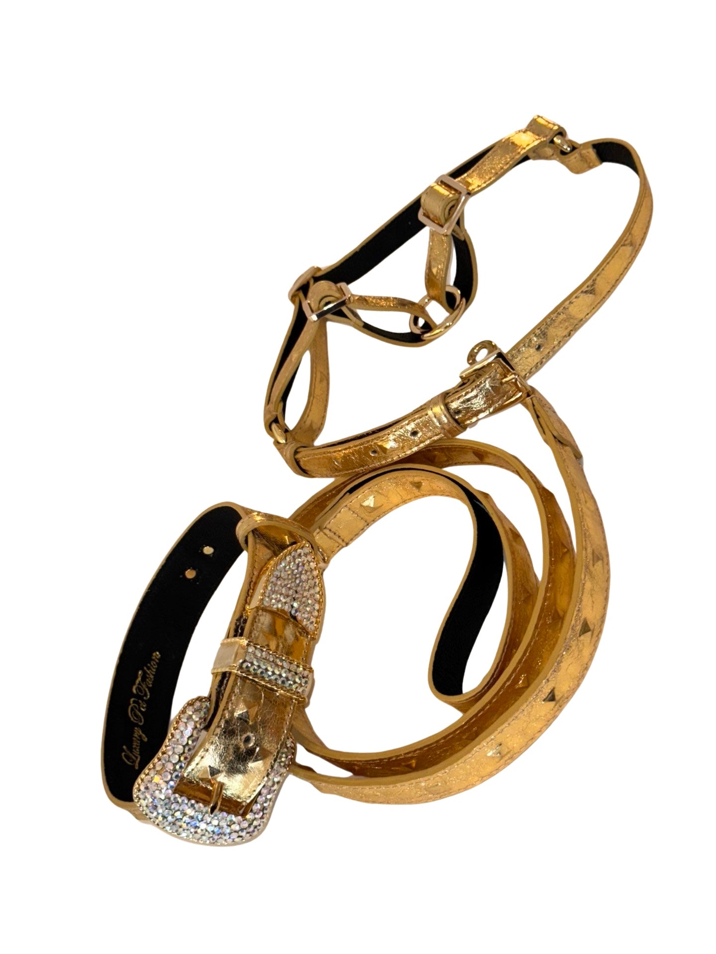 Glam Gold Embossed Studded Italian Leather Collar by Allysa Payne Beverly Hills - main product image for Resin Society
