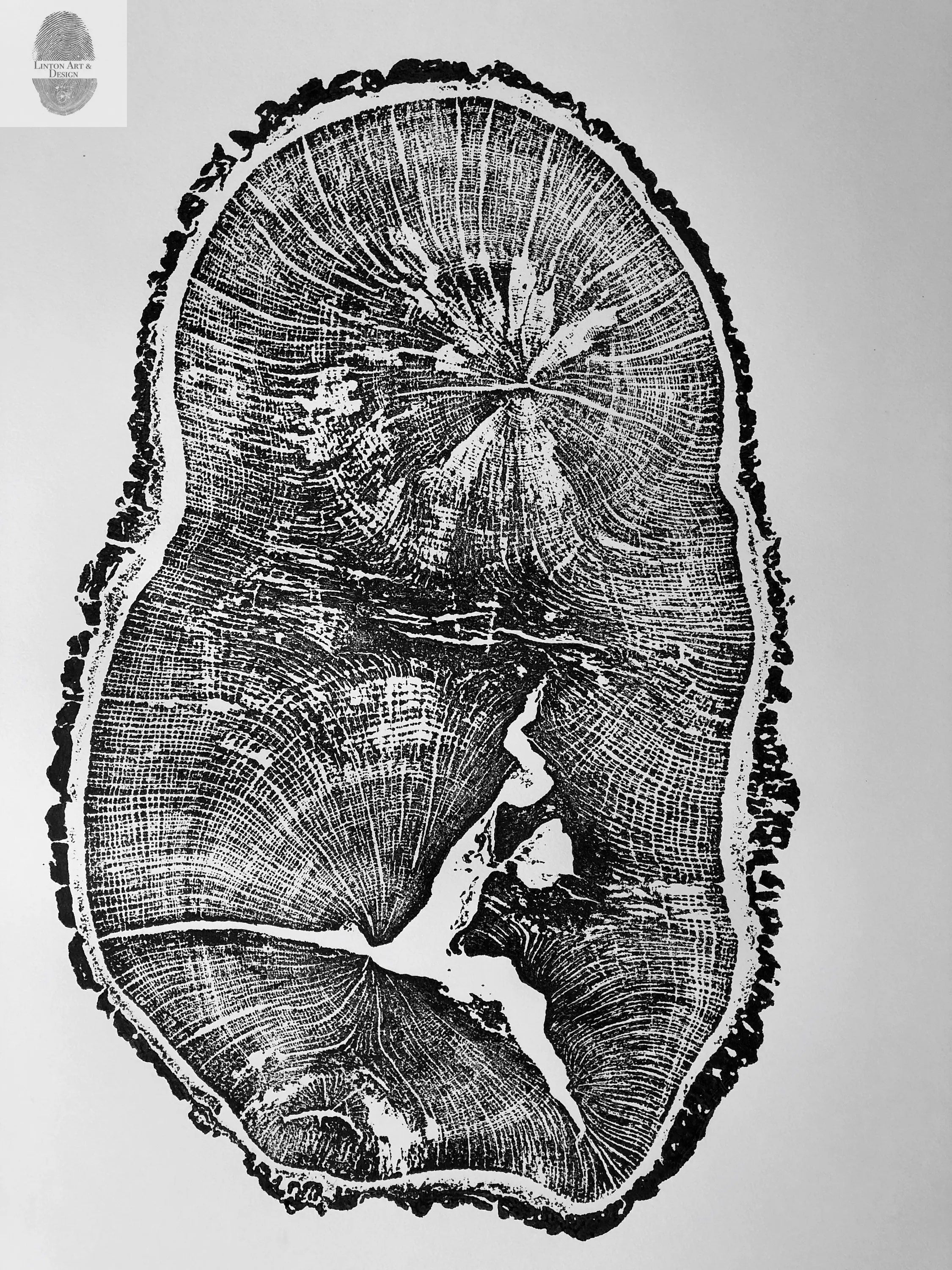 English Oak, Tree Ring Art Print by Erik Linton, 18x24