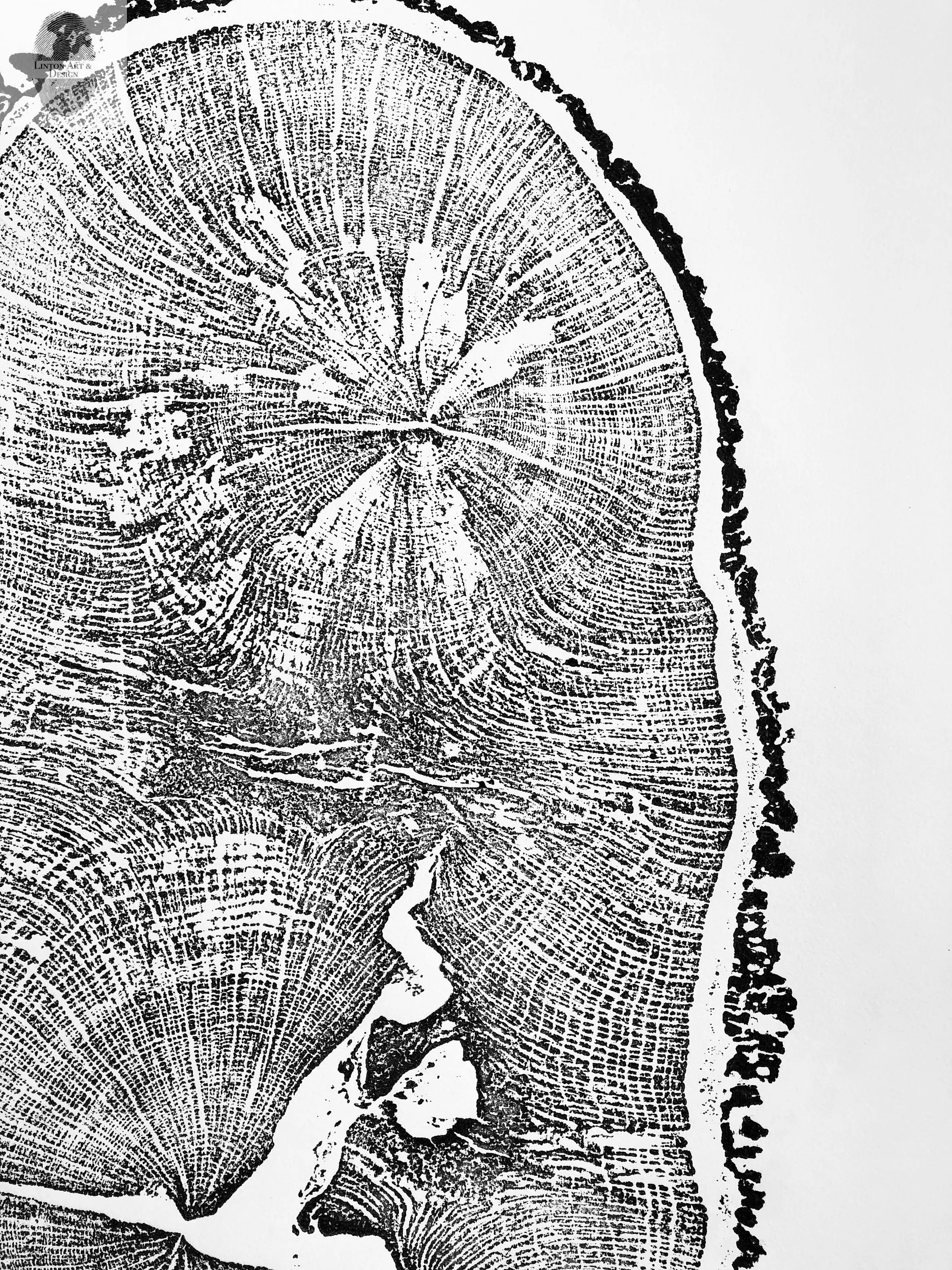 English Oak, Tree Ring Art Print by Erik Linton, 18x24