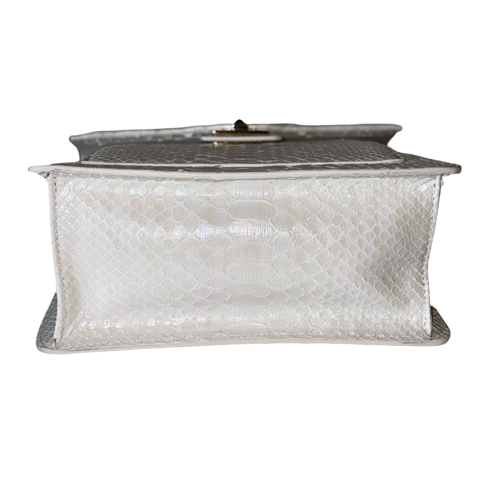 Cosmo Horse Handle Handbag In Iridescent White Python by Allysa Payne Beverly Hills - product image 9 for Resin Society