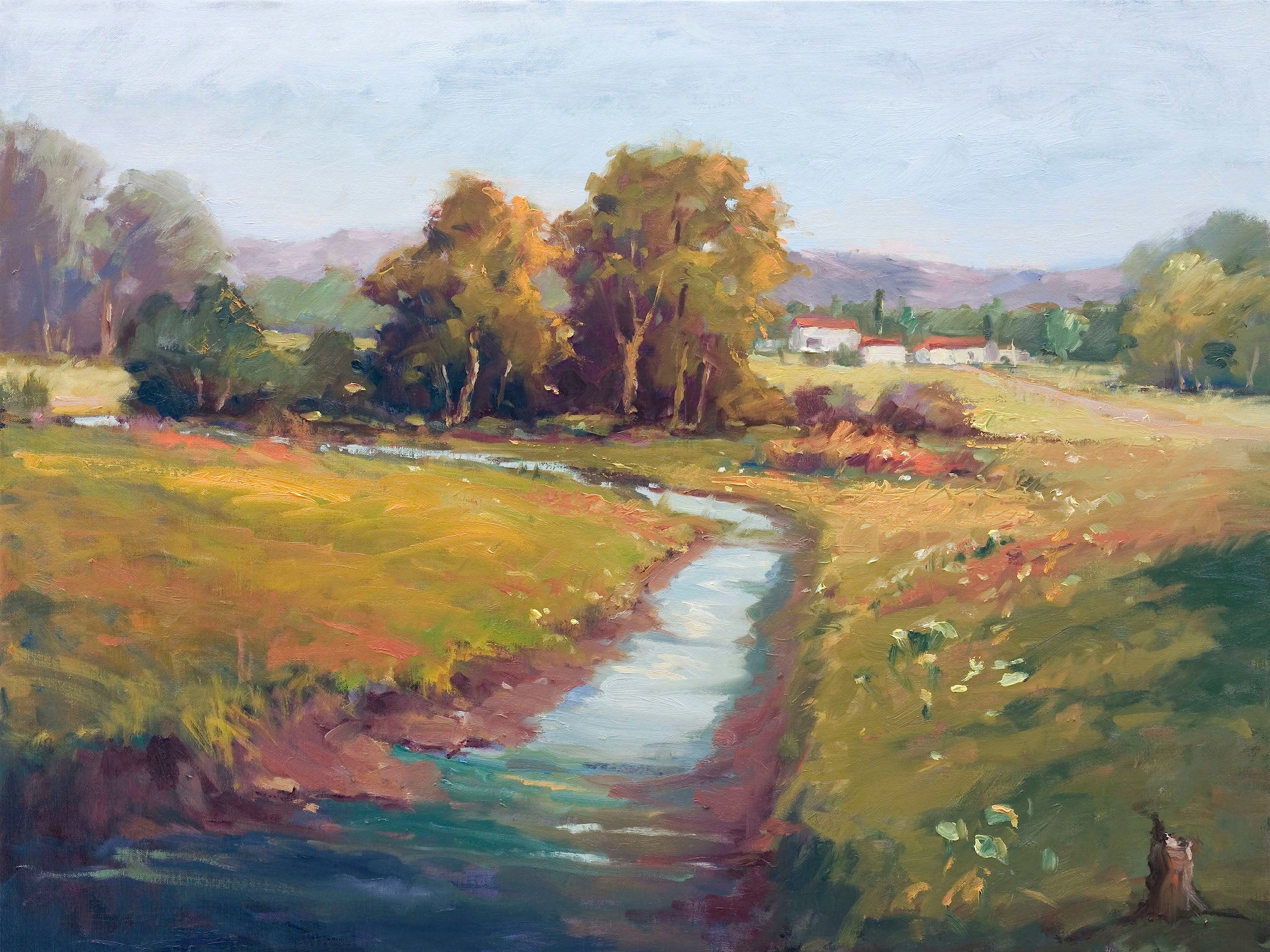 Flowers Along the Creek Artist Enhanced Canvas Print hung on a wall, showing vibrant floral coastal landscape colors in 24x30 size
