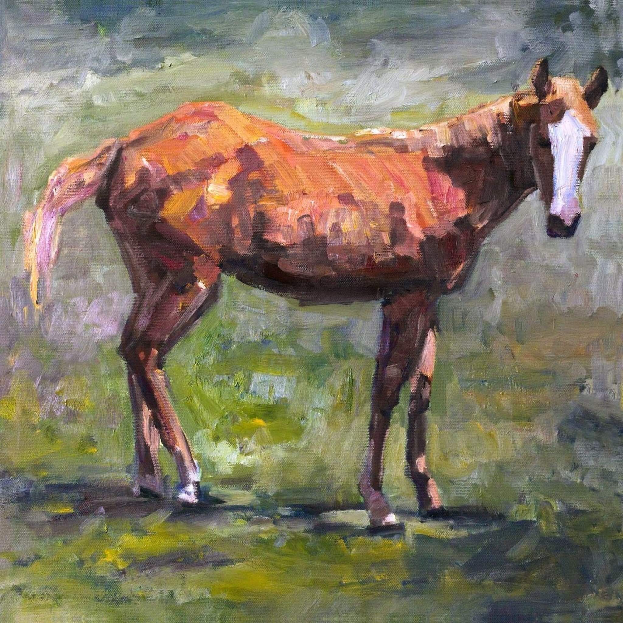 Foal Artist Enhanced Canvas Print by John Beard Collection - main product image for Resin Society