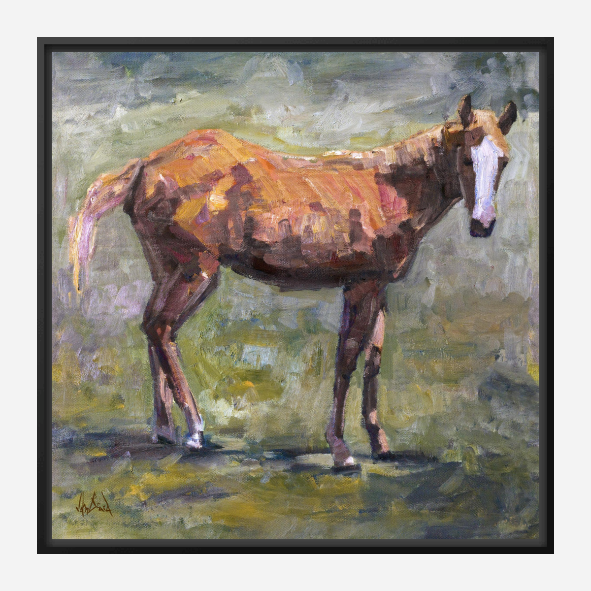 Foal Artist Enhanced Canvas Print by John Beard Collection - product image 7 for Resin Society