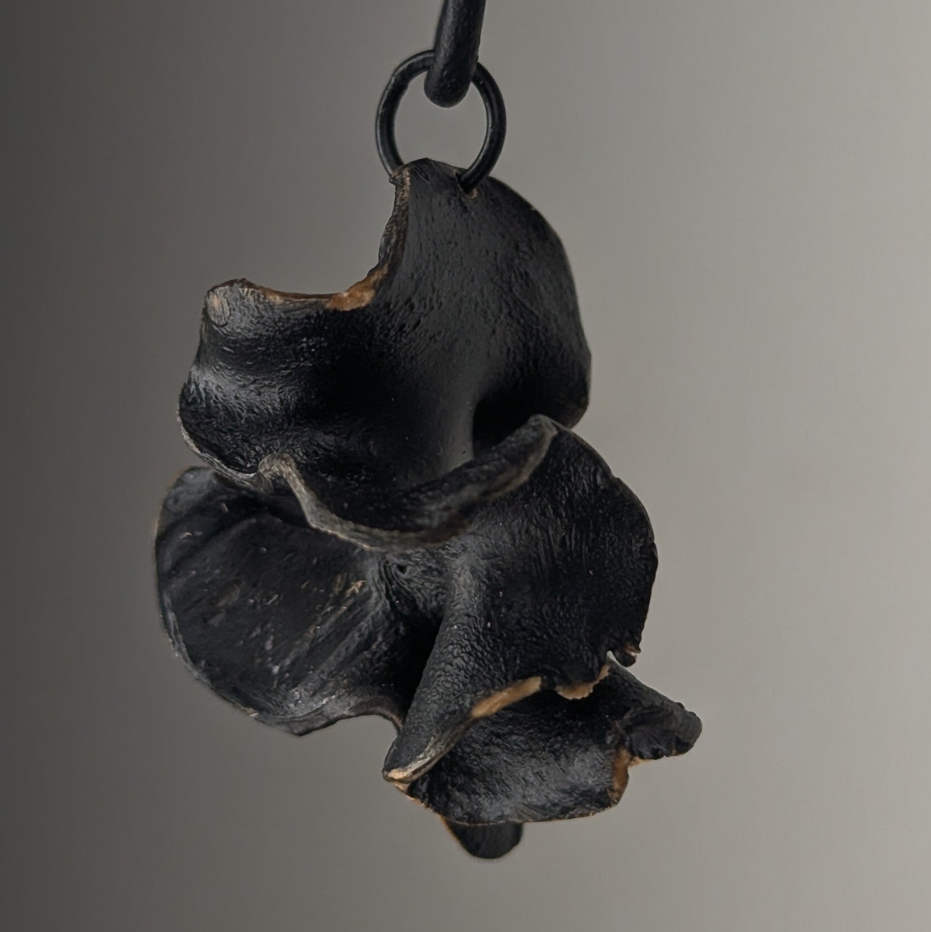 Fucalophrys by Versiliy - product image 2 for Resin Society