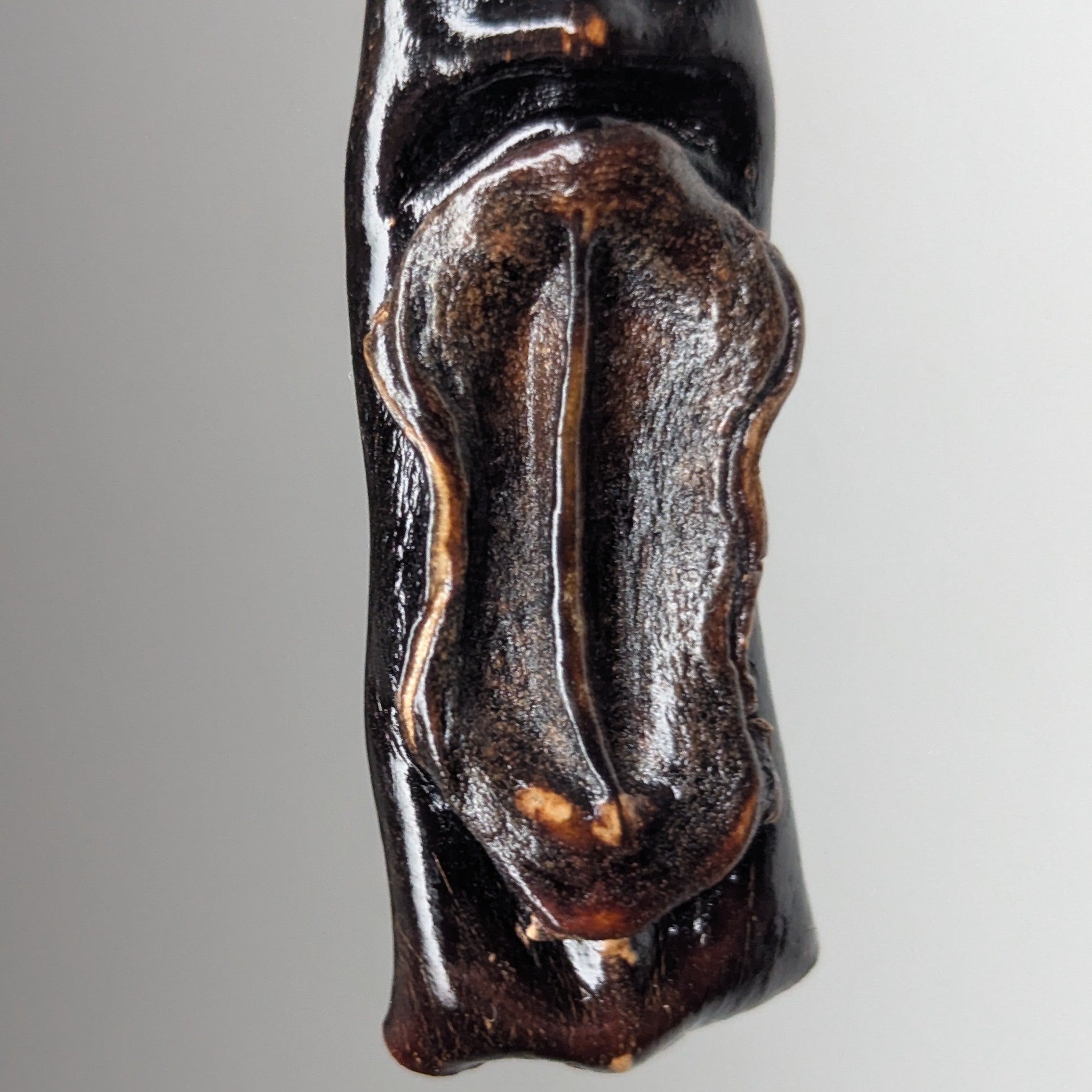 Fucyra by Versiliy - product image 2 for Resin Society