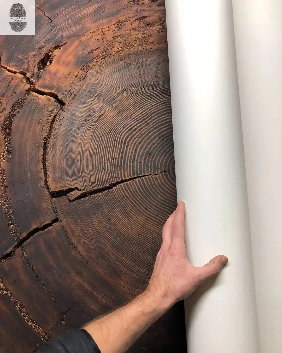 Oregon Coast Sitka Spruce - 52x60 - Tree Wall Art by lintonart - product image 8 for Resin Society