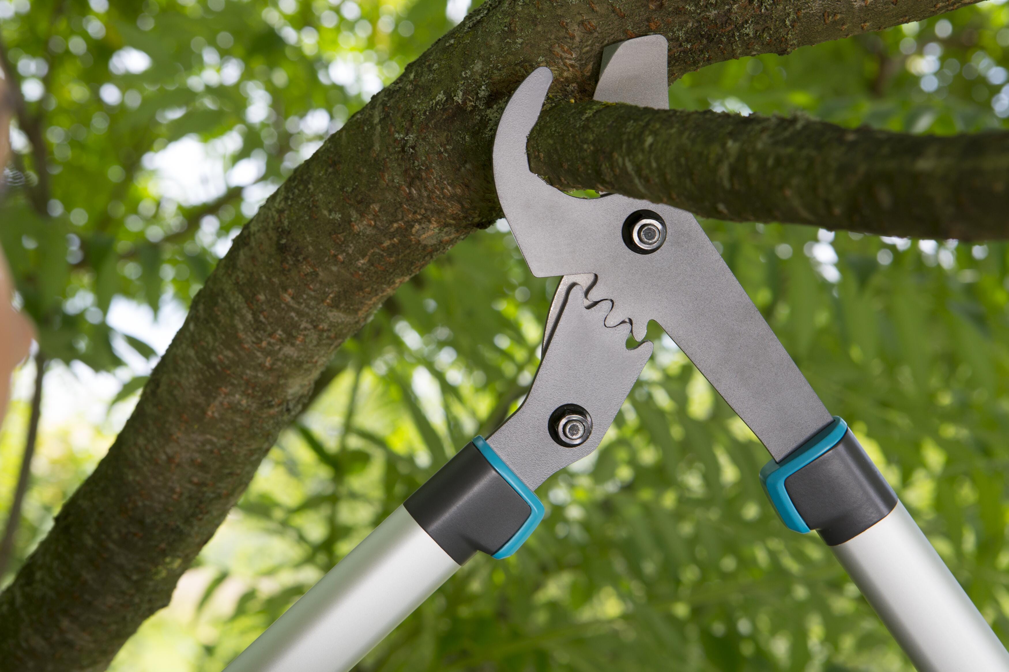 Pruning Lopper EnergyCut 750 B