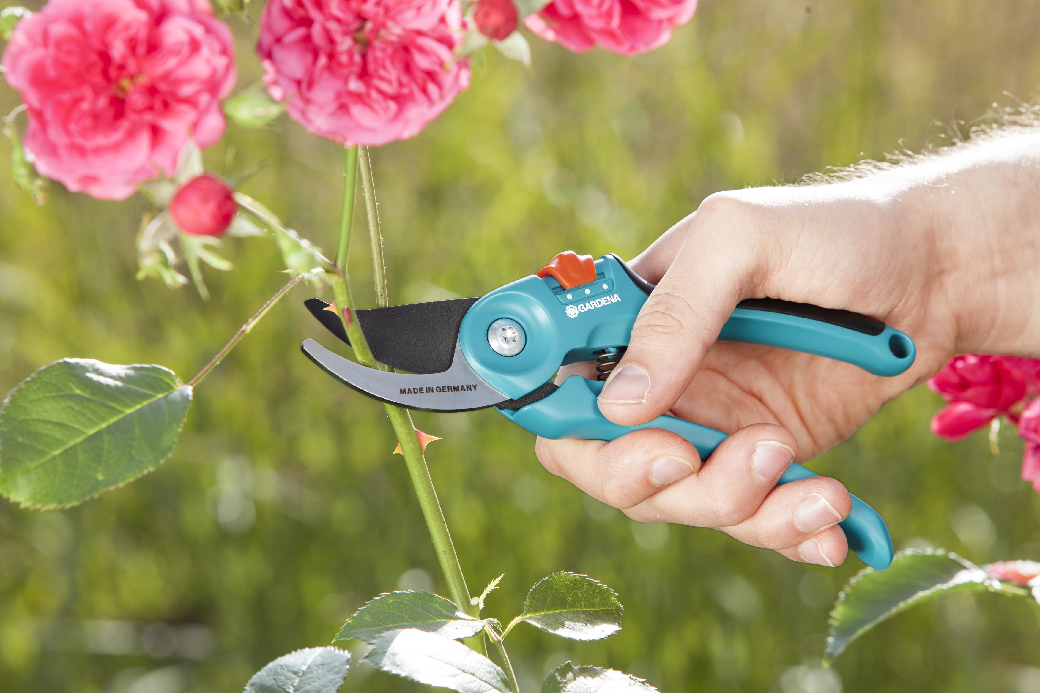 Garden Secateurs B/S-M