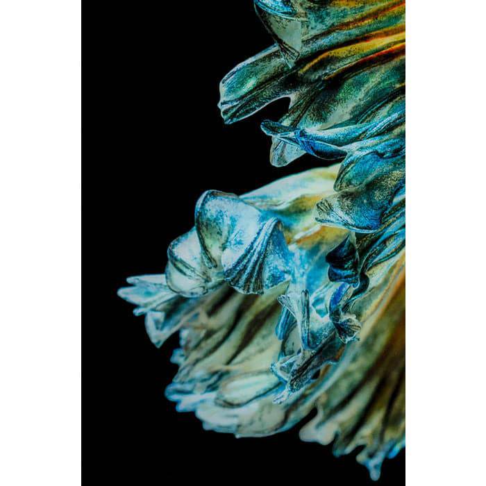 Glass Picture Aqua Queen 100x100