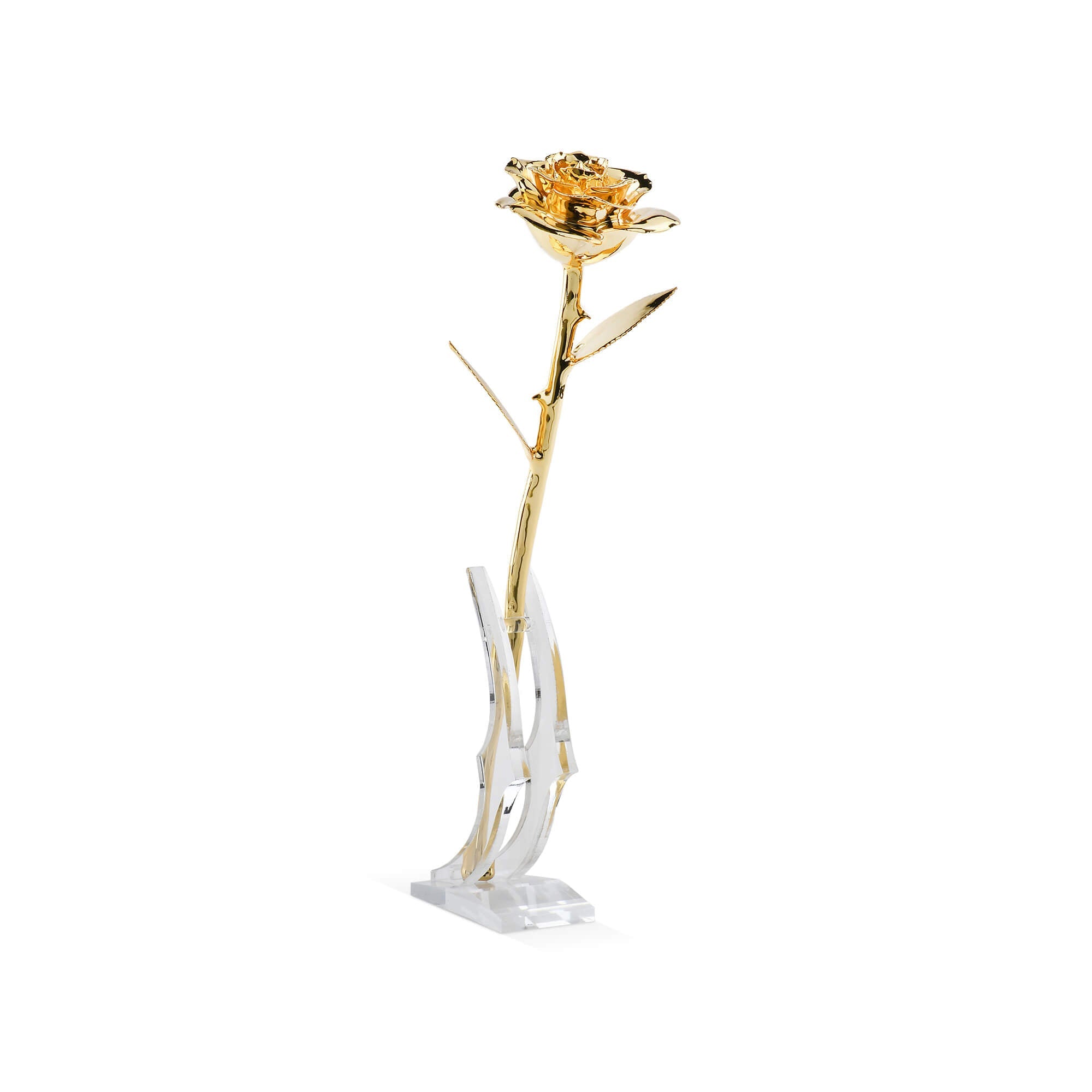 Timeless Rose (Gold) by ROSEPHORIA
