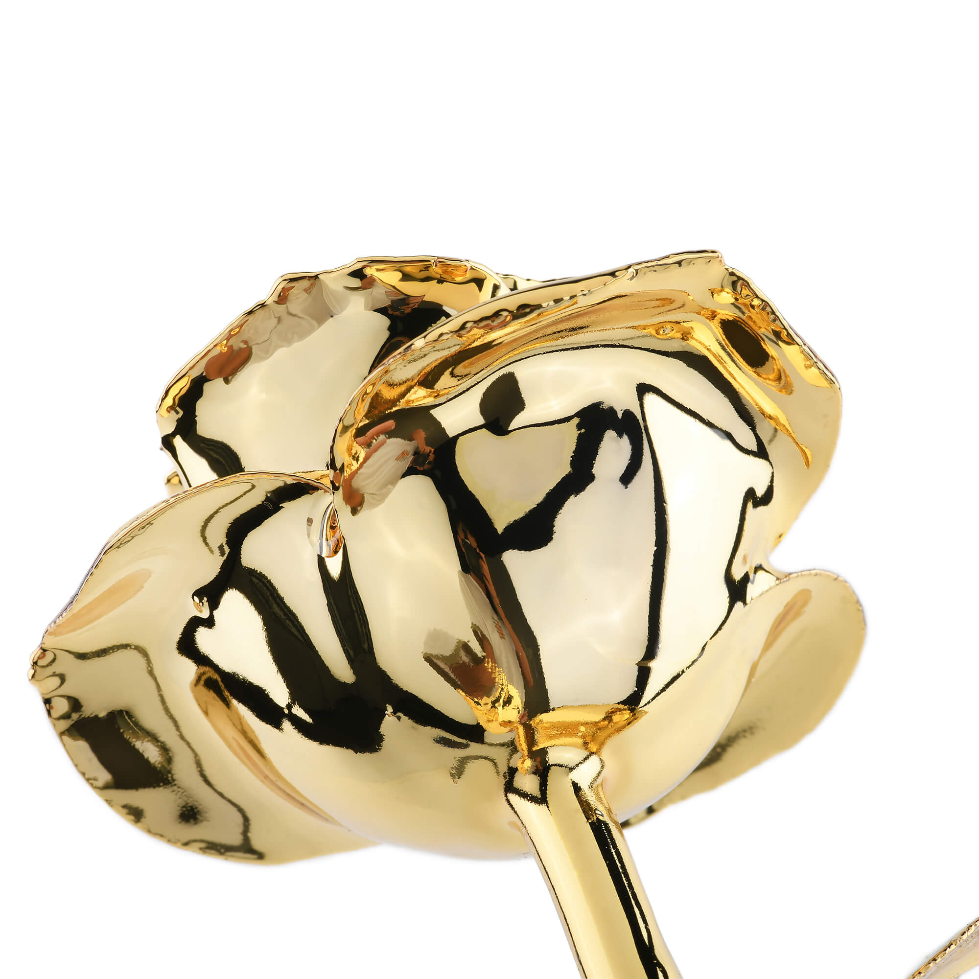 Timeless Rose (Gold) by ROSEPHORIA