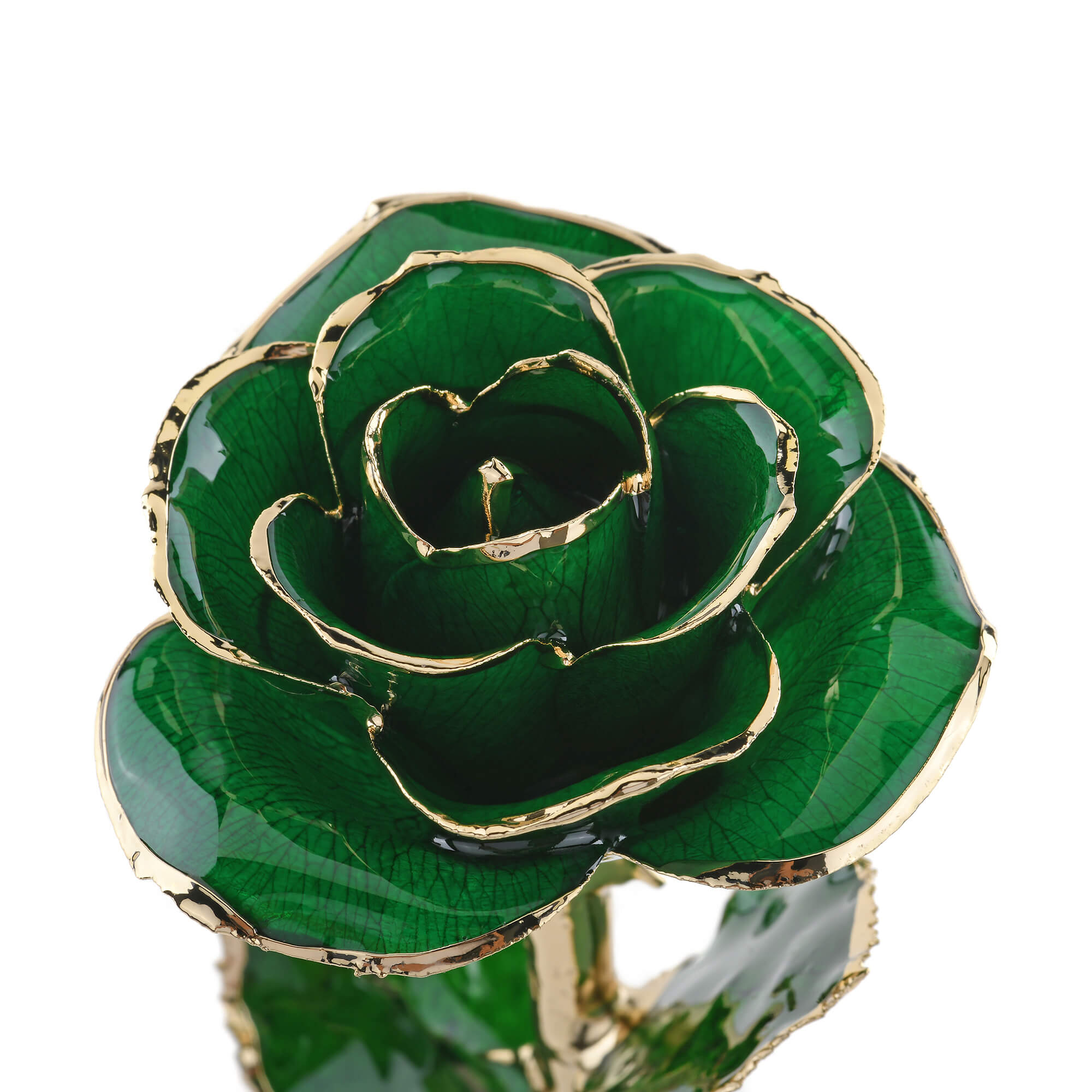 Timeless Rose (Green) by ROSEPHORIA