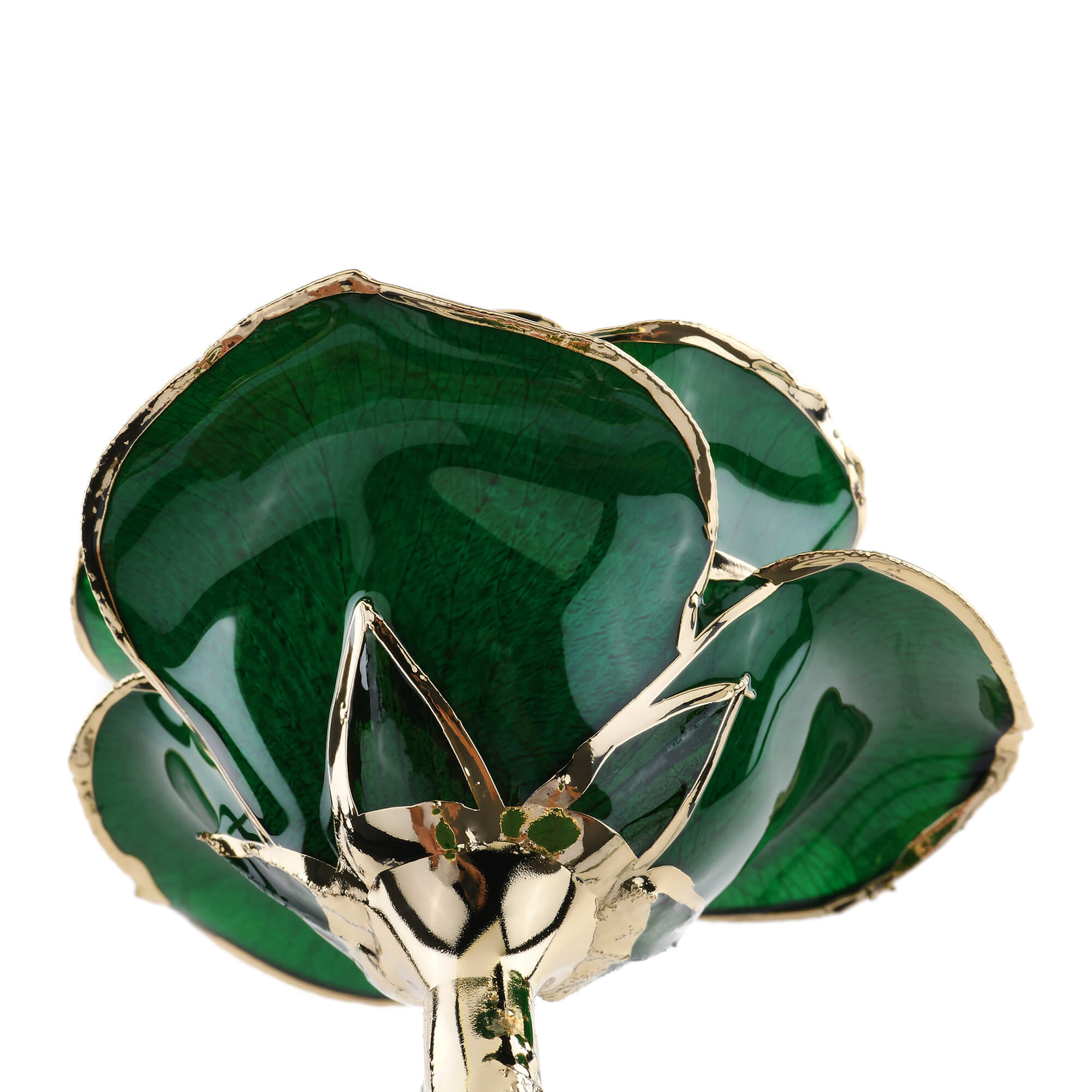 Timeless Rose (Green) by ROSEPHORIA