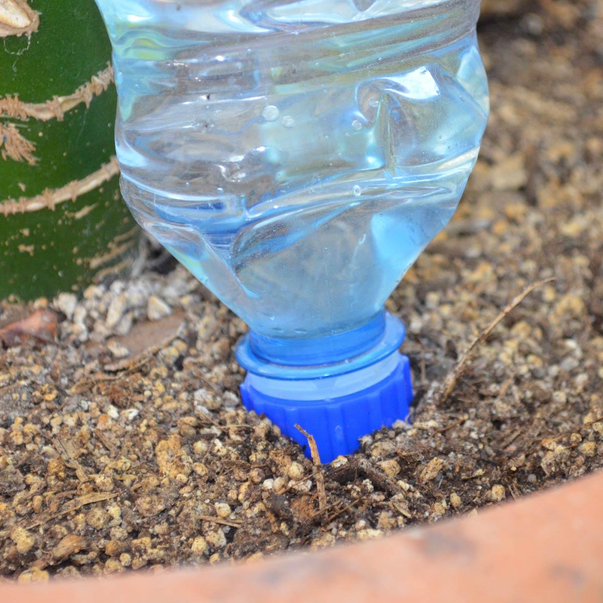 Bottle Cap Adapter for Blumat Systems by Sustainable Village - product image 5 for Resin Society