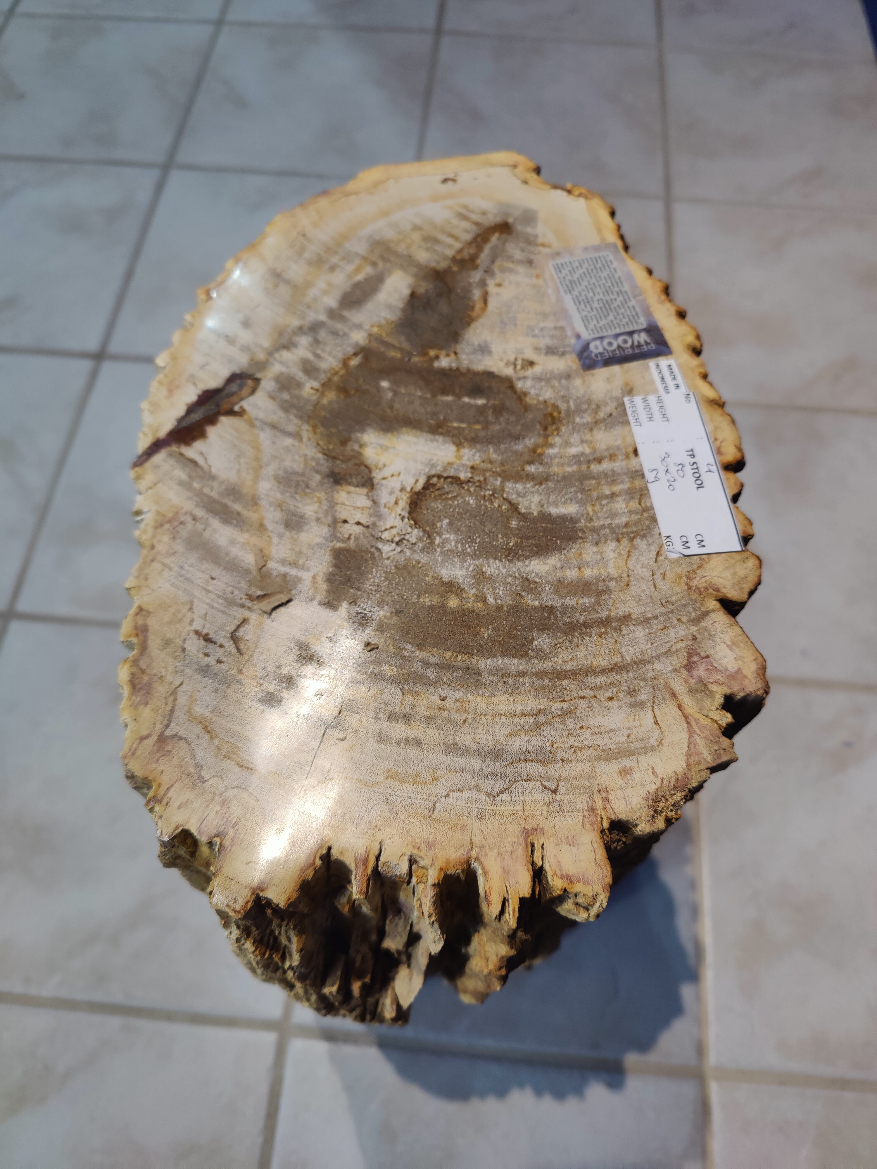 Petrified Wood Pedestal by Rare Earth Gallery - product image 3 for Resin Society
