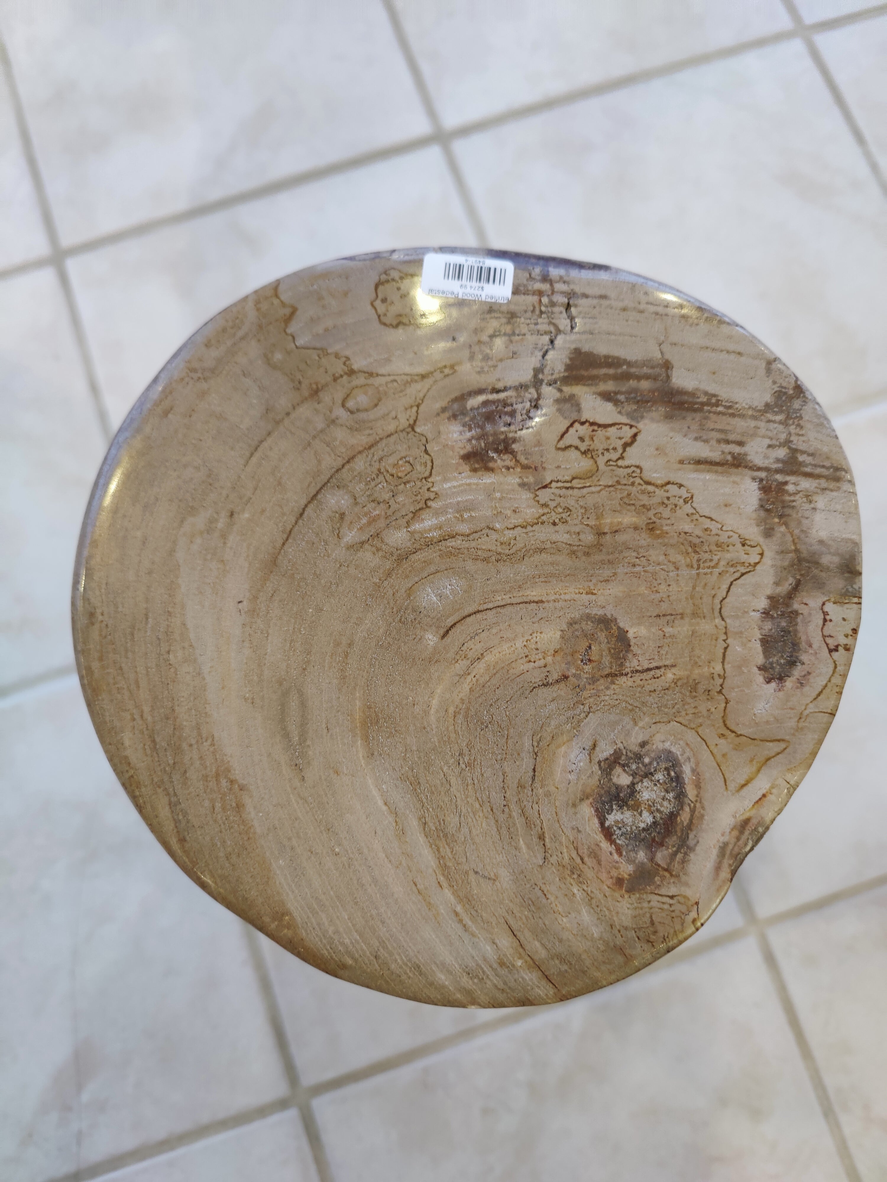 Petrified Wood Pedestal by Rare Earth Gallery - product image 15 for Resin Society