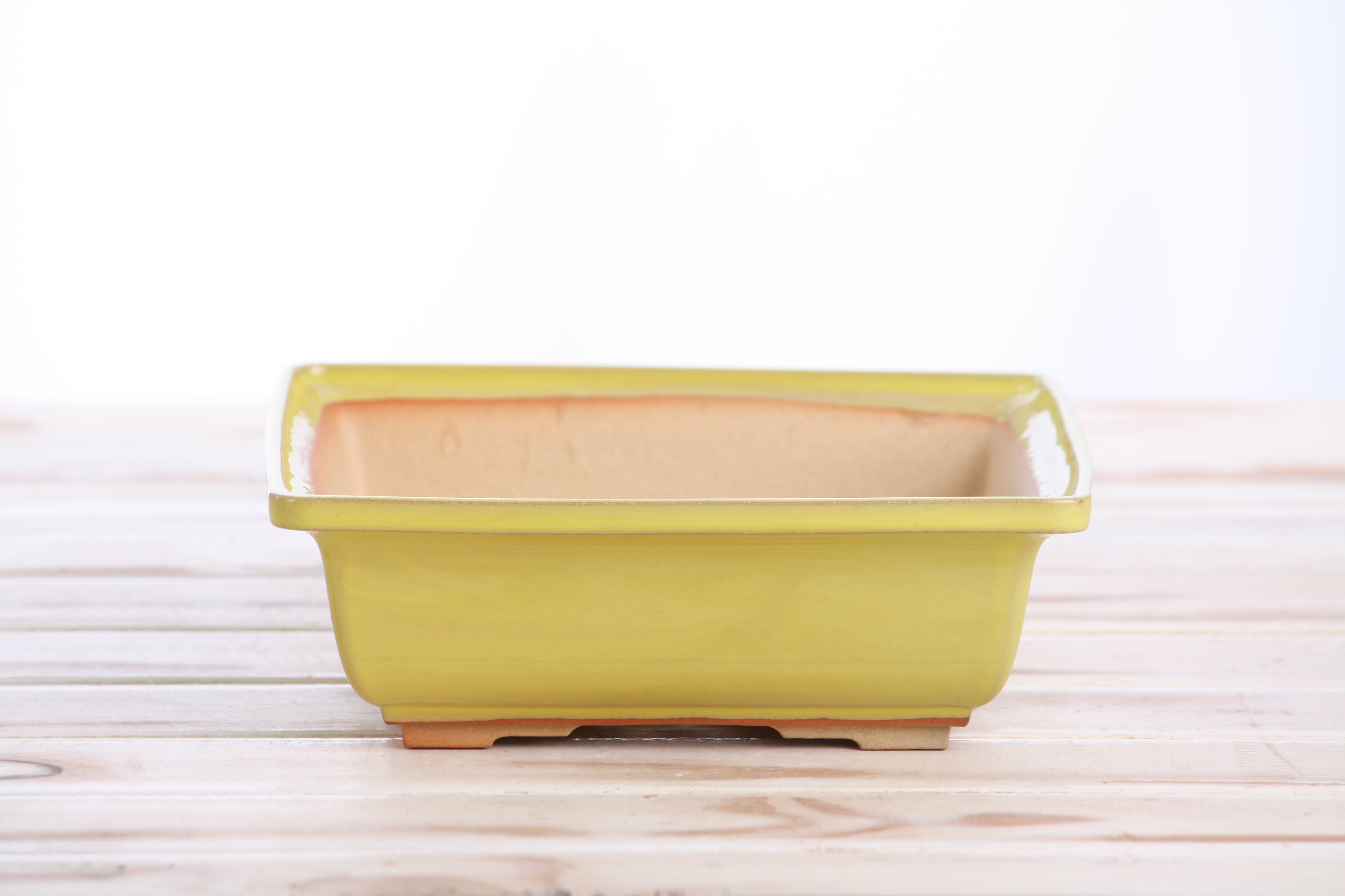 Willow Bonsai Ceramics Square Bonsai Pot 7 Inch – Yellow